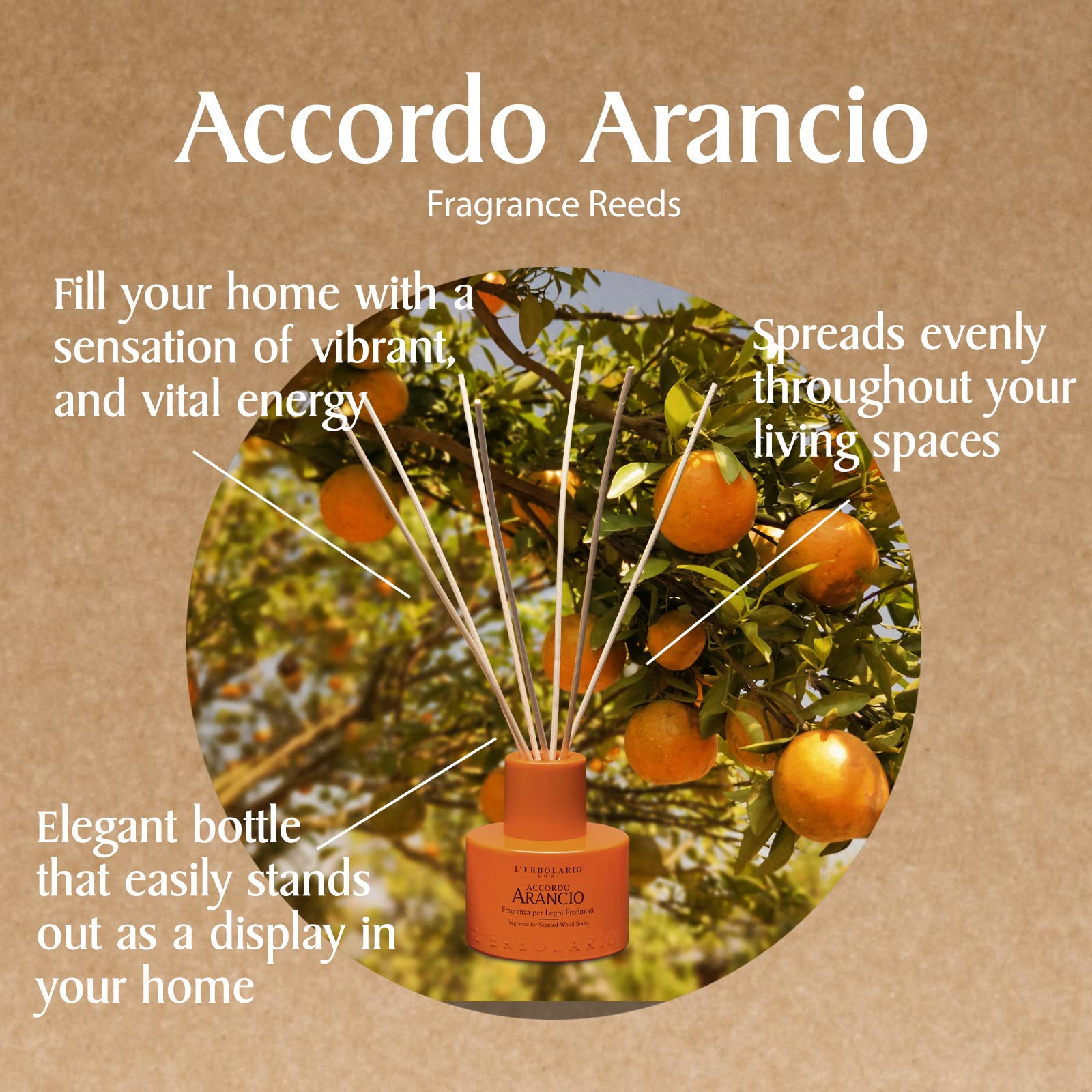L'Erbolario Accordo Arancio - Fragranza per Legni Profumati, 125 ml