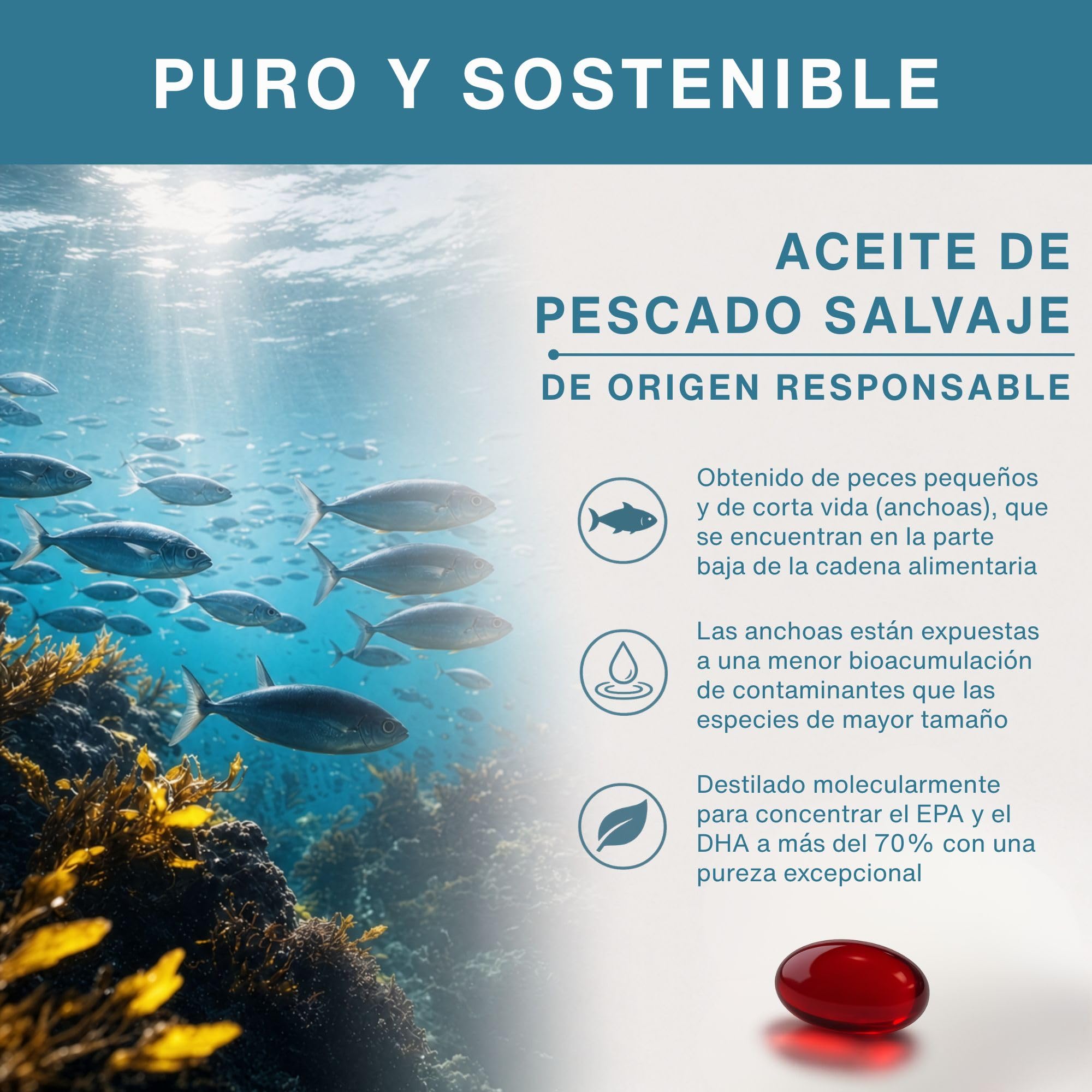 Omega 3 1000mg EPA y DHA, Triglicéridos rTG Alta Absorción con Astaxantina, 180 Cápsulas, IFOS Certificado 5 Estrellas, Aceite de Pescado Salvaje Ultrapuro, Sabor Limón, Superconcentrado, de Igennus
