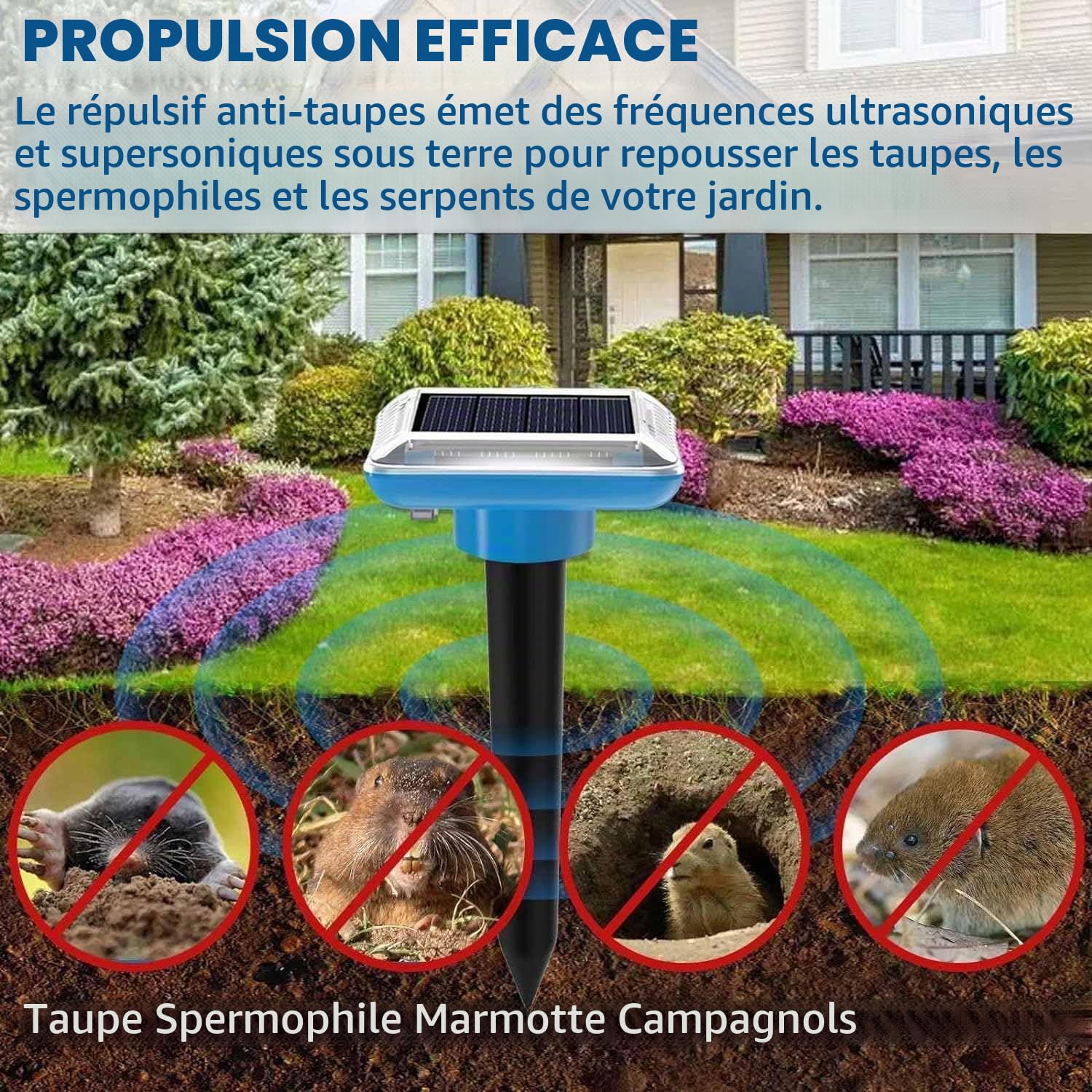 Lot de 4 répulsifs solaires Anti-Taupes - Répulsif Contre Les Taupes - Répulsif Contre Les campagnols - Répulsif à ultrasons pour Taupes