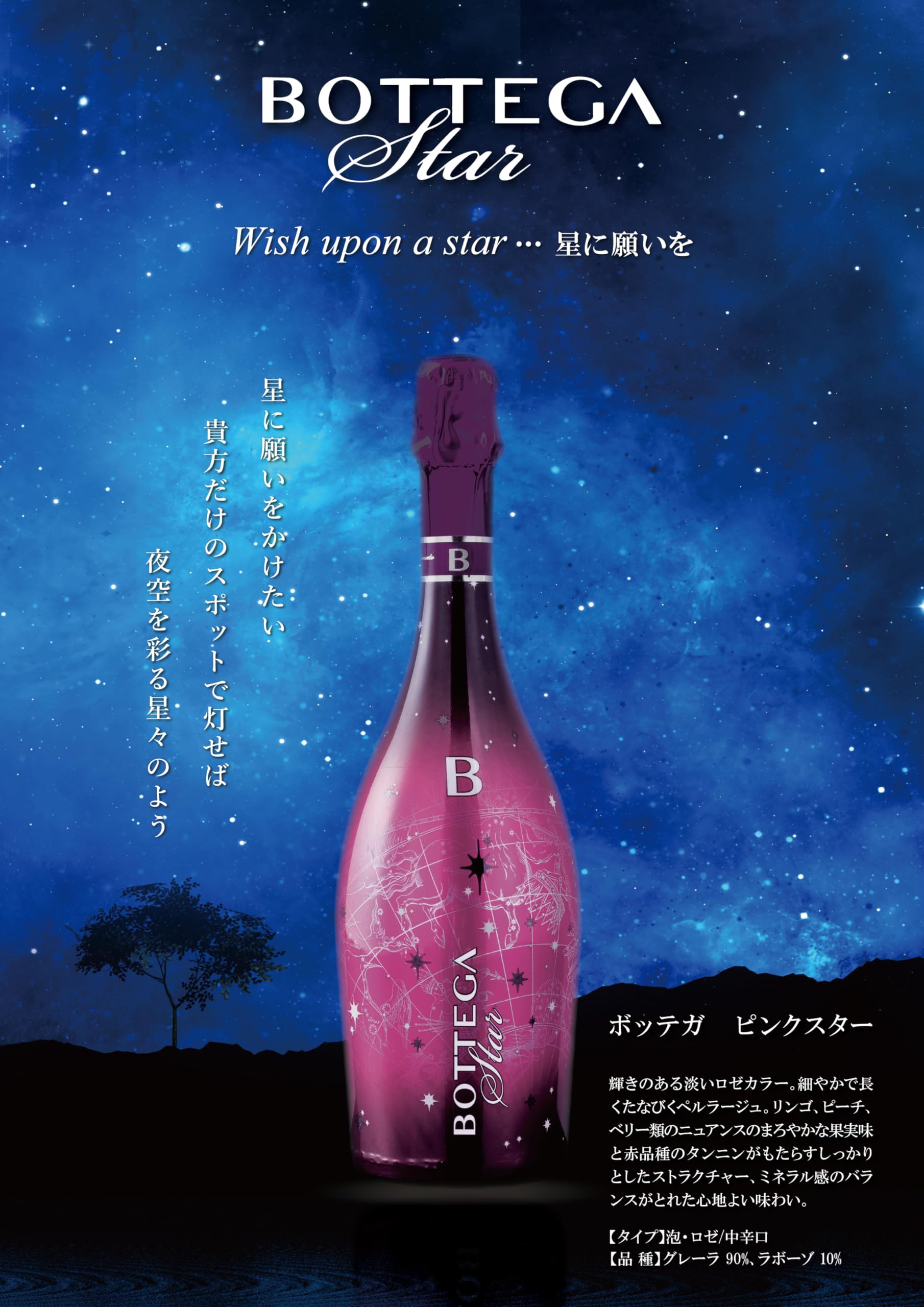 Amazon.co.jp: ボッテガ ピンクスター 750ml : 食品・飲料・お酒
