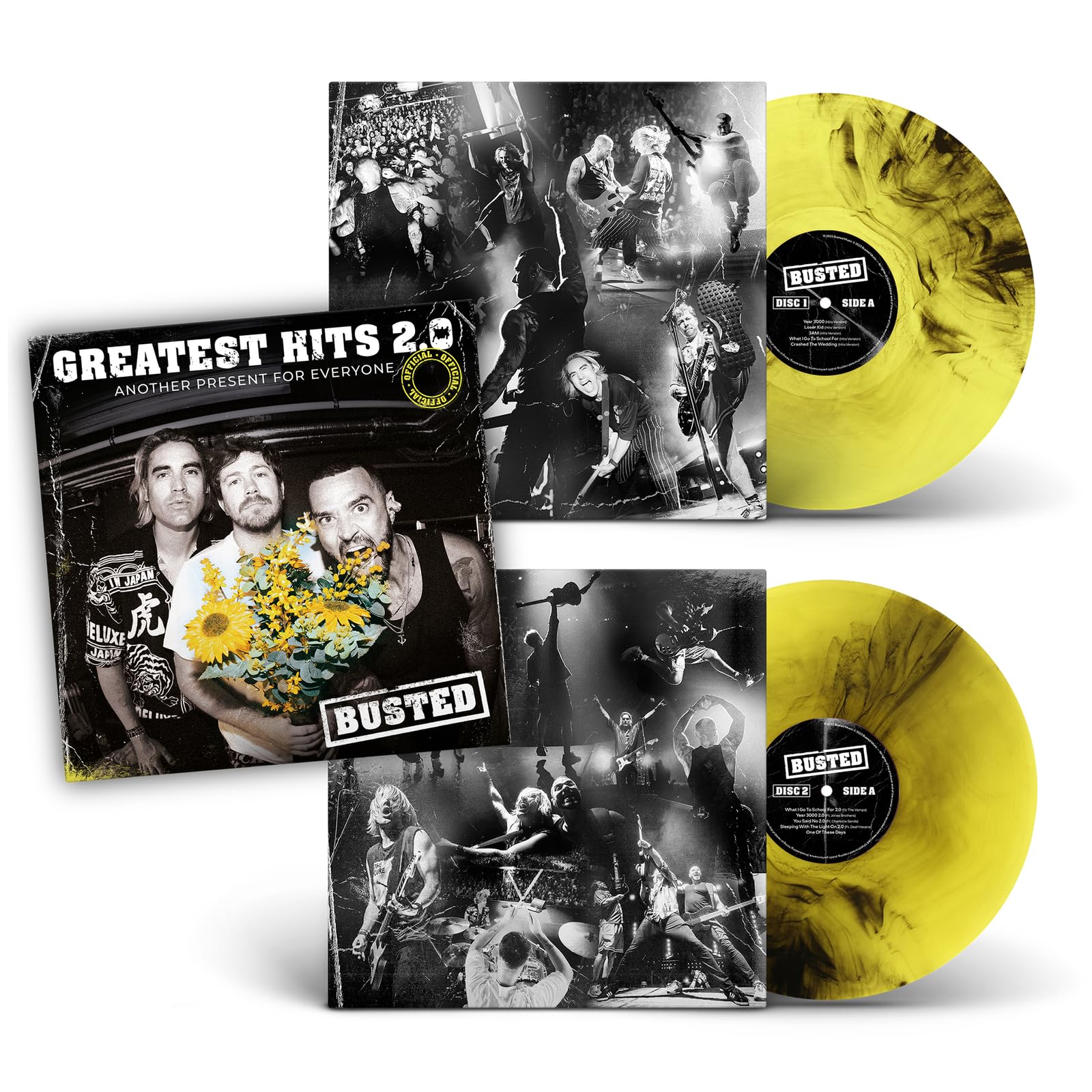 Busted - Greatest Hits 2.0: Another Present for Everyone Vinyl 12"" Album