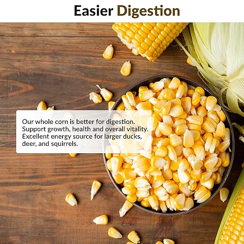Miniatura 6 de Old Potters Maíz entero, maíz para alimentar a la vida silvestre, ciervos y pollos 15 libras.