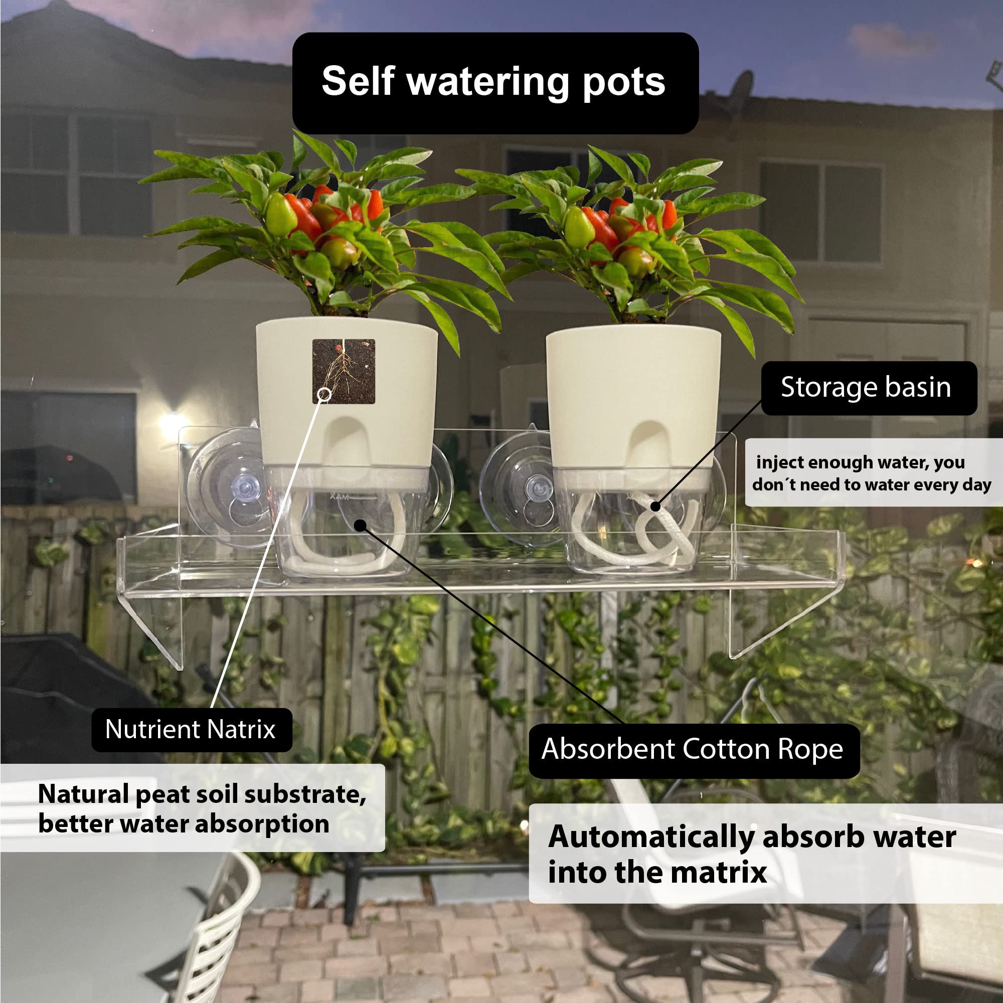 Window Shelf for Plants - 1 Clear Acrylic 12"x 5"- 2 self Watering pots & 4 Suction Cups - Extra Strong, Include Expert's Growing Plants Guide, Plant Stand Indoor, Window Plant Shelves, Window Garden