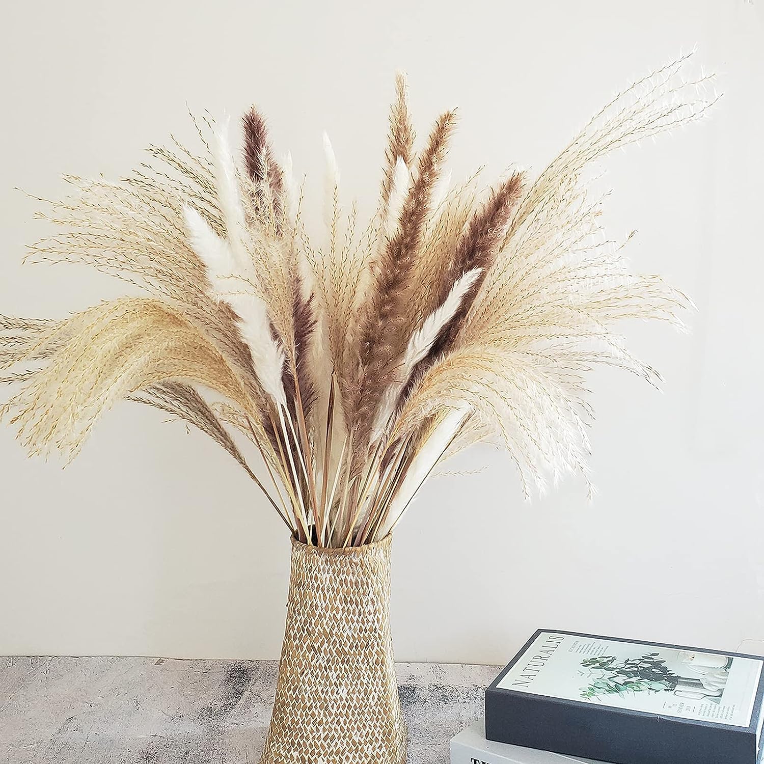 Natural Dried Pampas Grass Total 60 Pcs, Home Decoration Flower Arrangments, 15 Pcs White Pampas & 15 Pcs Brown Pampas & 30 Pcs Reed Grass