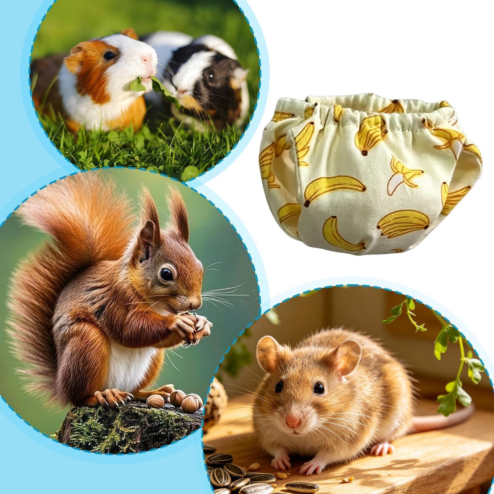Pieluchy wielokrotnego użytku, nadająca się do prania, regulowana odzież dla zwierząt domowych, wysoka chłonna osłona dla małych wiewiórek, wygodne akcesoria ochronne do higieny zwierząt domowych