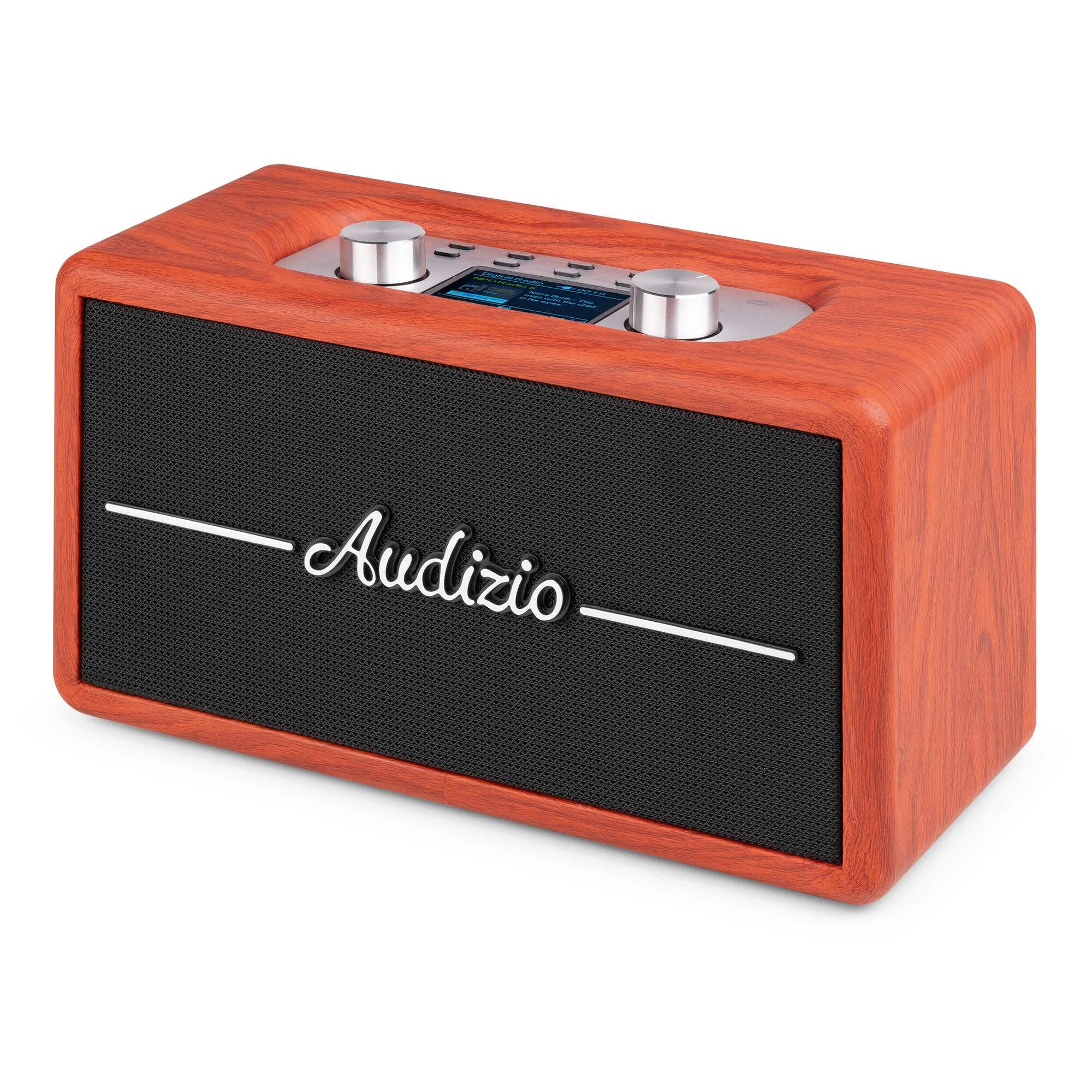 Audizio Tune60 Enceinte Portable BT Rétro avec Radio Dab+ et FM - Haut Parleur sans Fil Vintage 40W avec USB, Micro SD, AUX et Télécommande - Enceinte Mobile Design Cerisier