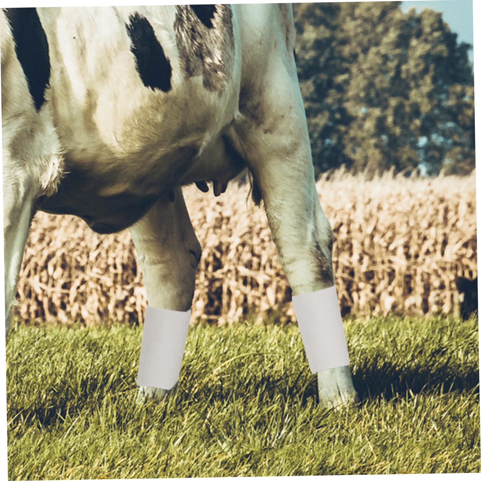 BESPORTBLE Bandages Bandages Élastique Élasticité Sport Élasticité Conception Vache Auto-Adhésif Peau Bandes Vache Fixation Vache Auto-Adhésif Enveloppement Cheval Tissu