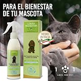 Ver la foto 7