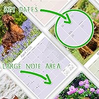 Vista 1435 de Razas de Perros 2017