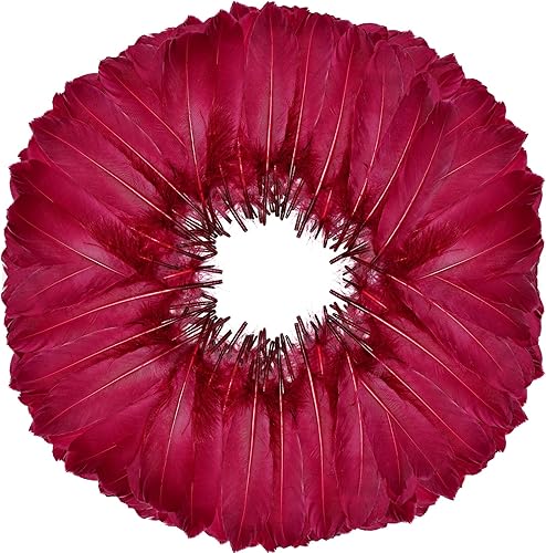 FeelfunFeather 120 plumas de ganso de color rojo vino de 6 a 8 pulgadas, 5.9-7.9 in, decorativas, naturales, plumas de ganso Nagoire a granel para