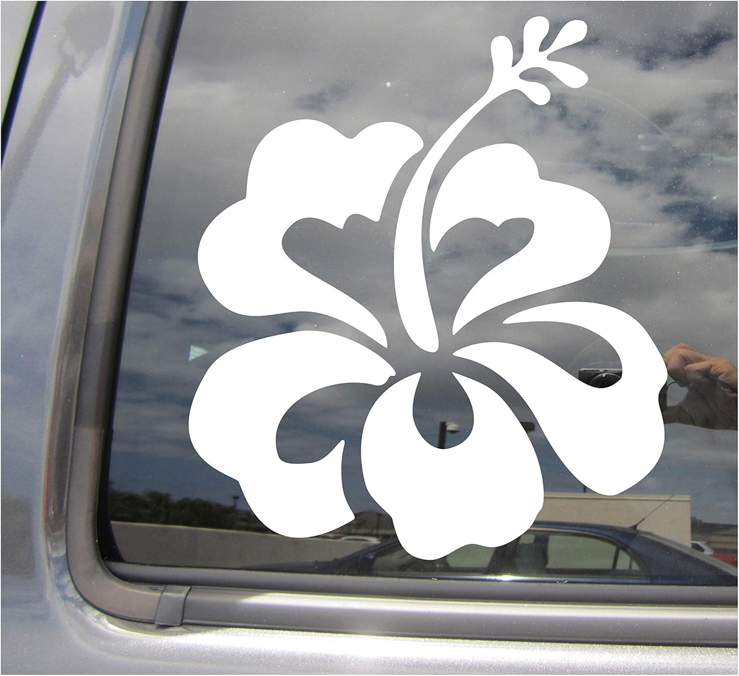 Shaka Brah - Tropical Hawaii Island Beach - Cars Trucks