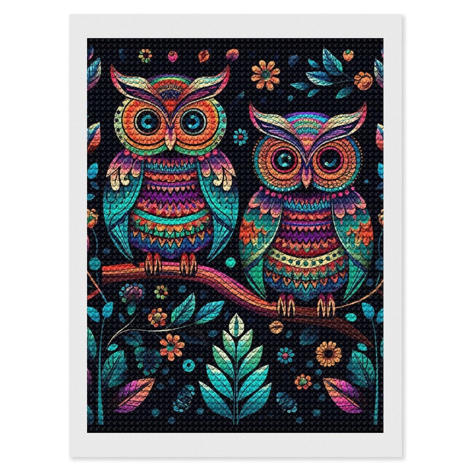 Colorful Owl Pictures Diamond Art Kits for Adults, DIY 5D Diamonds Painting Kits for Beginner, Round Full Drill Diamond Dots Painting, Diamonds Pictures Gem Art and Crafts Wall Decor 12"x16"
