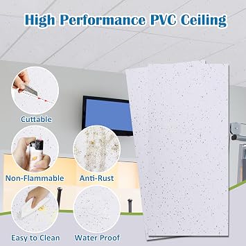 Sunnyglade 10 Packs 2ft x 4ft Drop Ceiling Tiles, 24 x 48in Printed Ceiling Tiles, 4mm thicknesses Printed PVC Ceiling Panel, Waterproof Reusable and Fire-Rated, 80 Sq. Ft