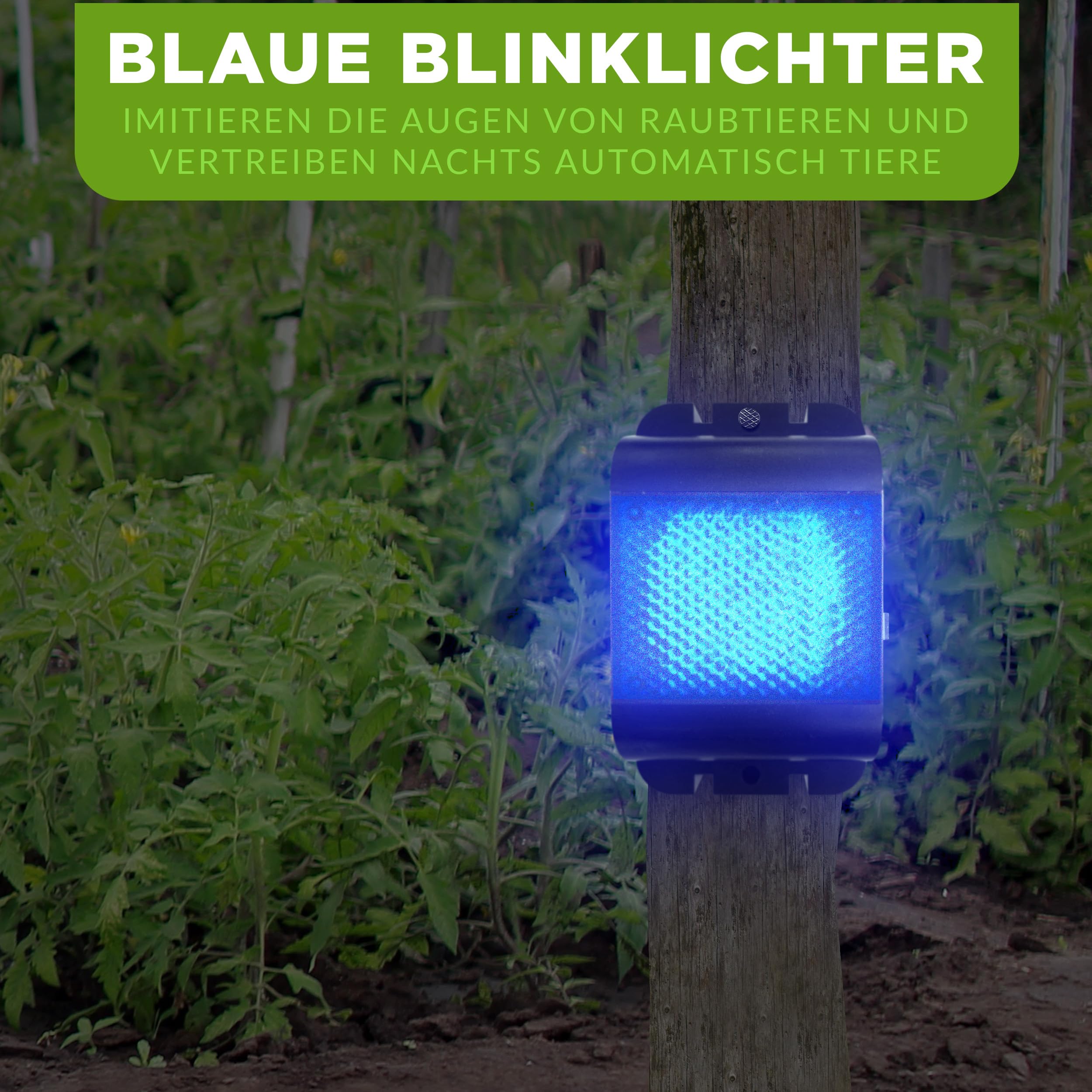 ISOTRONIC Tiervertreiber zur Abwehr von Waschbären, Rehen, Füchsen & Wildschweinen – Wildtier Vertreiber mit blauem LED-Licht – effektive Tierabwehr mit 40m² Wirkungsbereich (6 Stück)