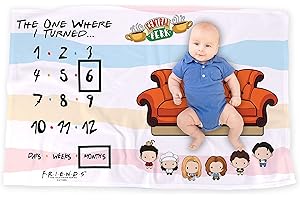 Disney Milestone Blanket