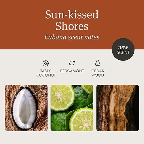 Miniatura 17 de Drift - Ambientador de madera, eliminador de olores para el automóvil, paquete de inicio, aroma arboleda, negro