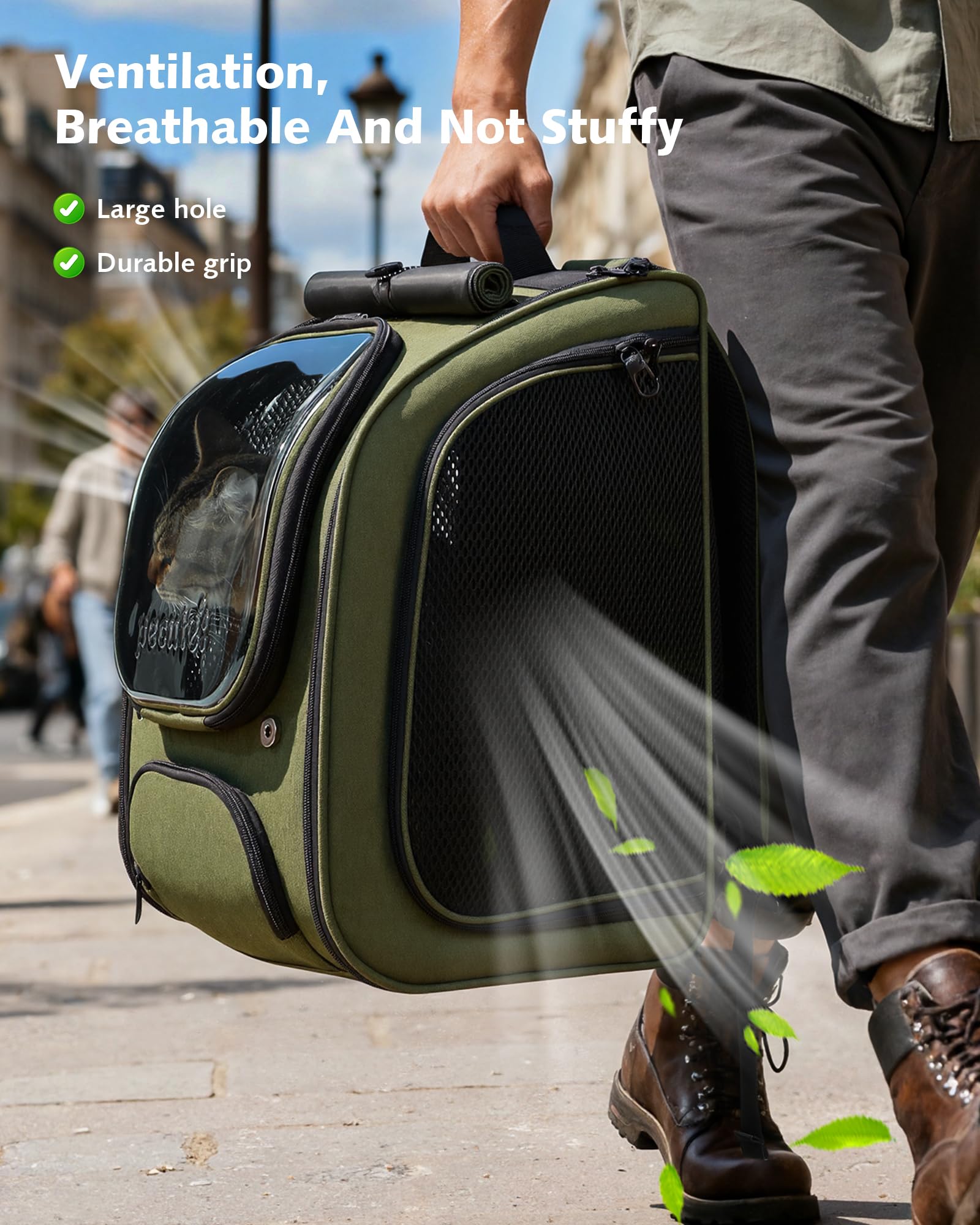 Pecute Scalabile Zaino Trasportino per Gatti a Bolla - Ampio spazio stabile, parasole traspirante, ideale per viaggiare, fare visitare cliniche veterinarie con il tuo animale domestico, Verde