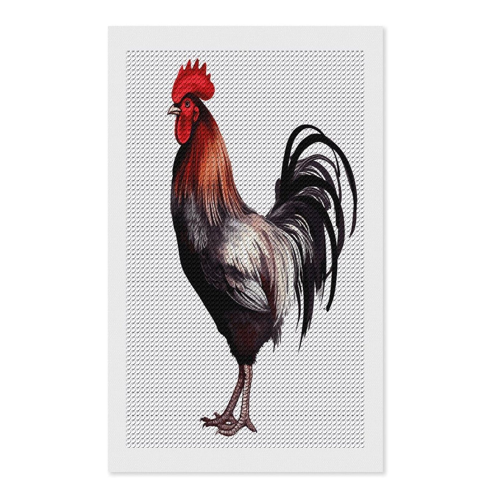 FekiLoot Rooster Diamond Painting Kits for Beginners DIY Diamond Art Kits for Adults Full Drill Round Diamond Dot Gem Art Painting Fun DIY Crafts for Home Kitchen Wall Decor Gift 12"x20"