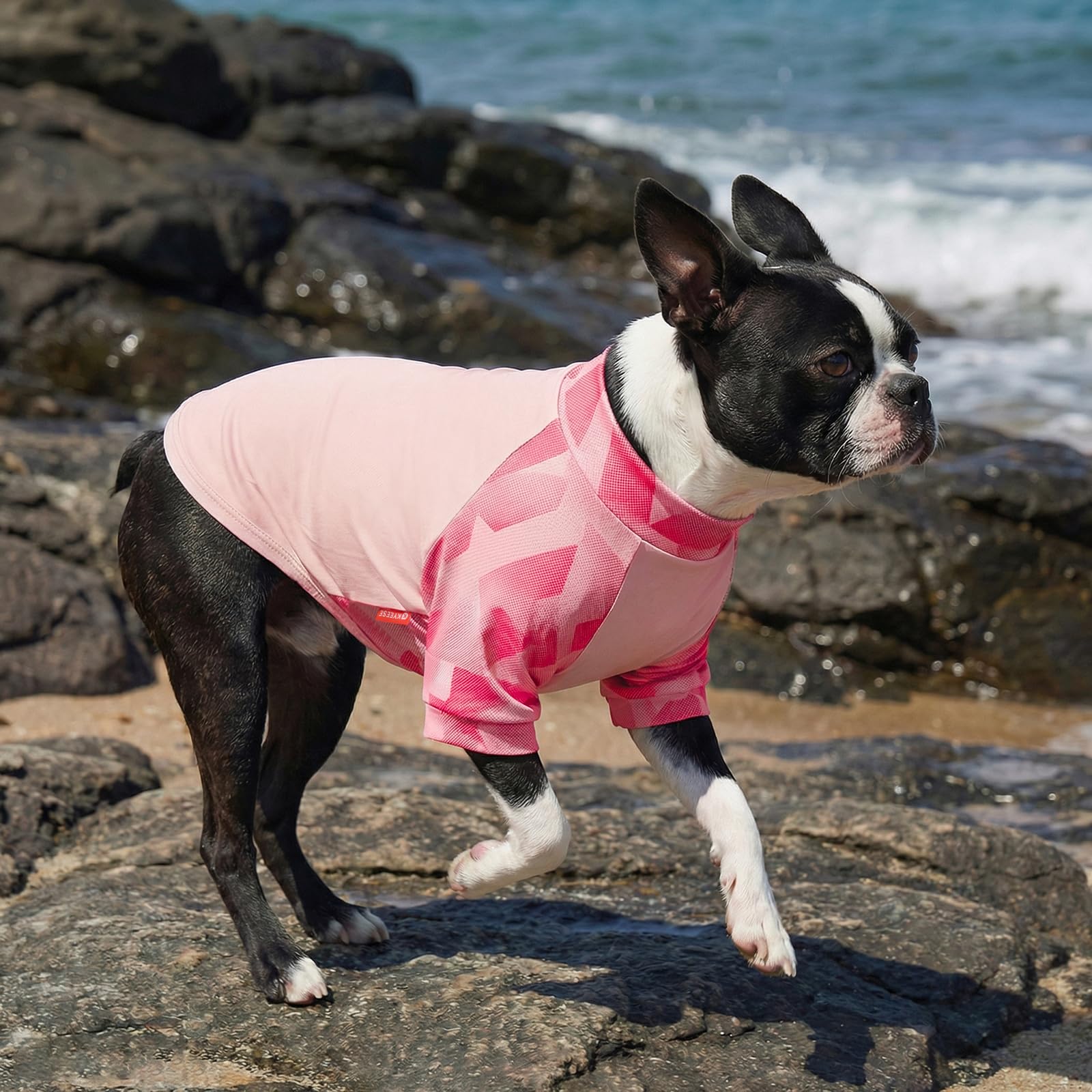 KYEESE 2Pack UV Protection Dog Shirt, UPF 50+ Cooling Dog T Shirts for Small Dogs Girl, Breathable Reflective Dogs Sun Shirts with Sleeves Summer Pet Clothes, Pink, M — view 6