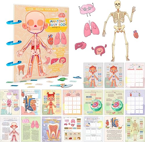 Miniatura 1 de Alened Montessori - Libro ocupado para niños pequeños, libros educativos de anatomía para el cuerpo humano, libro de juguetes de aprendizaje