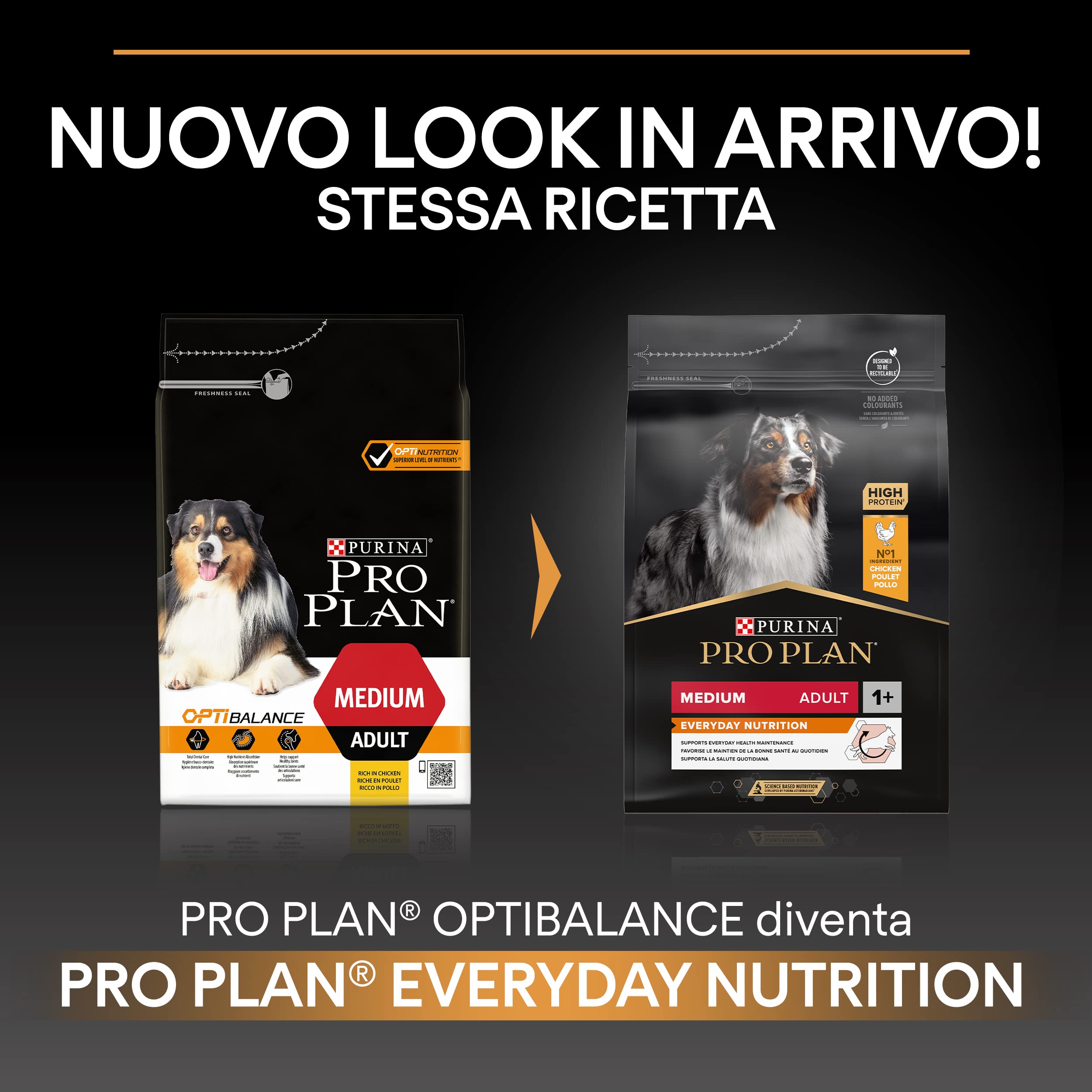 PURINA PRO PLAN Crocchette per Cani Adulti Taglia Media con Pollo, Cibo Secco 14 kg