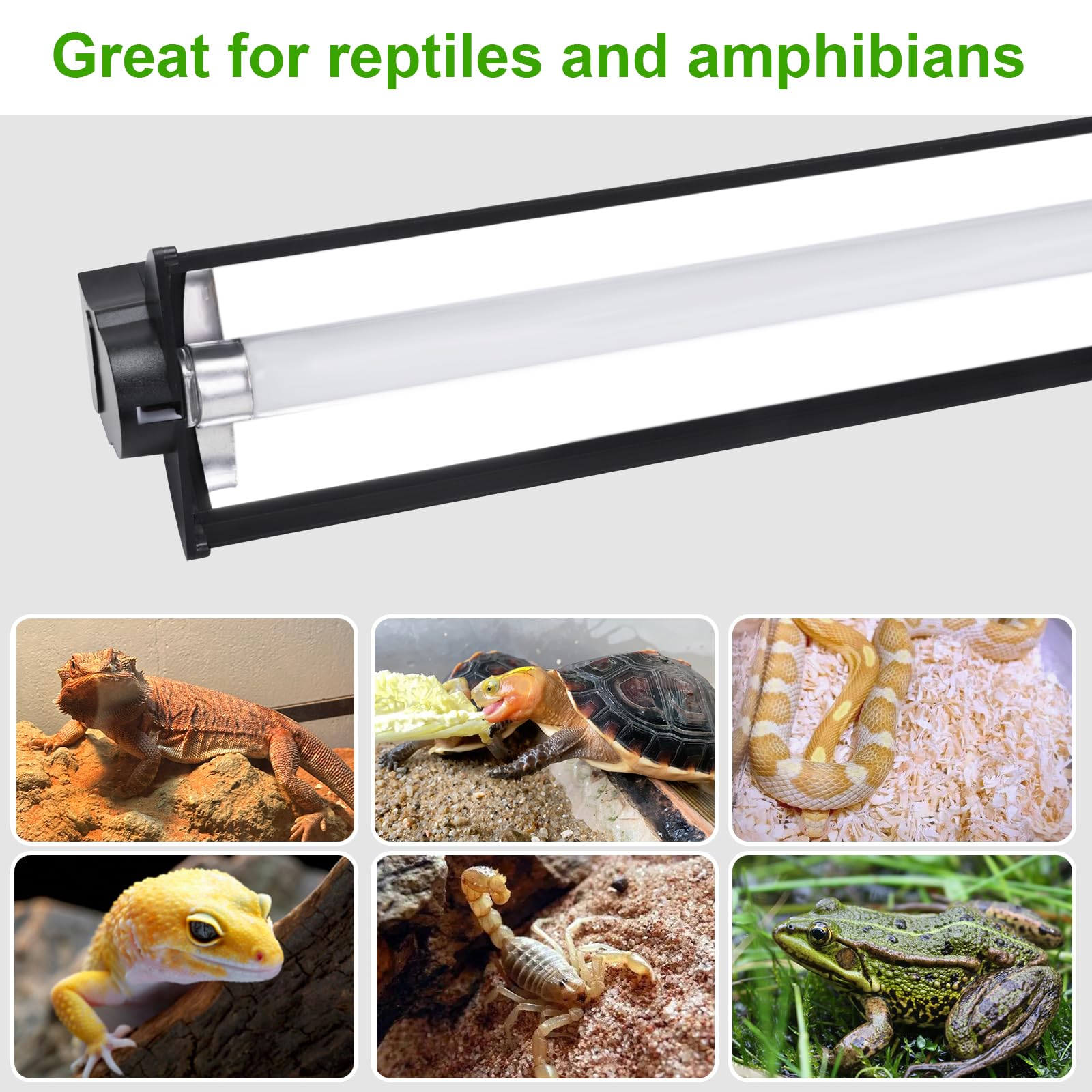 Aiicioo T5 HO UVB Reptile Light Fixture 5.0 8W Light Combo Kit 12 Inch Light Fixture Reptile Terrarium Hood with 8W Reptile Light Bar for Bearded Dragon Lizards Turtle Tank - image 5