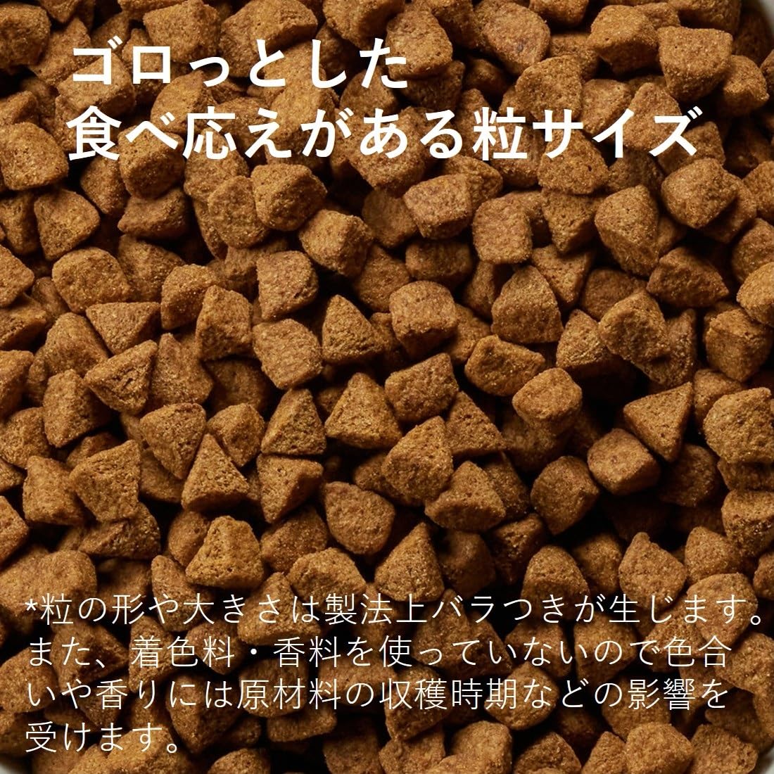 Amazon.co.jp: ウェルネス ドッグフード コア グレインフリー 高