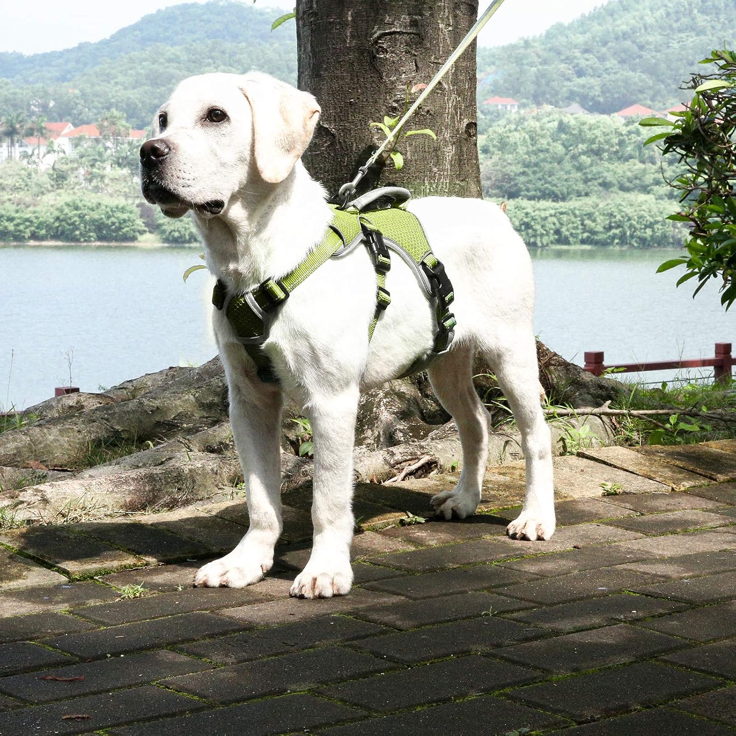 BELPRO MultiUse Support Dog Harness, Escape Proof No Pull Reflective