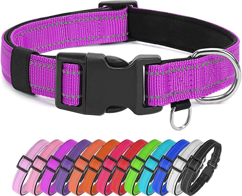 Coleira para Cães com Fita Refletiva, Nylon com Neoprene, Ajustável, Dark Magenta, XS