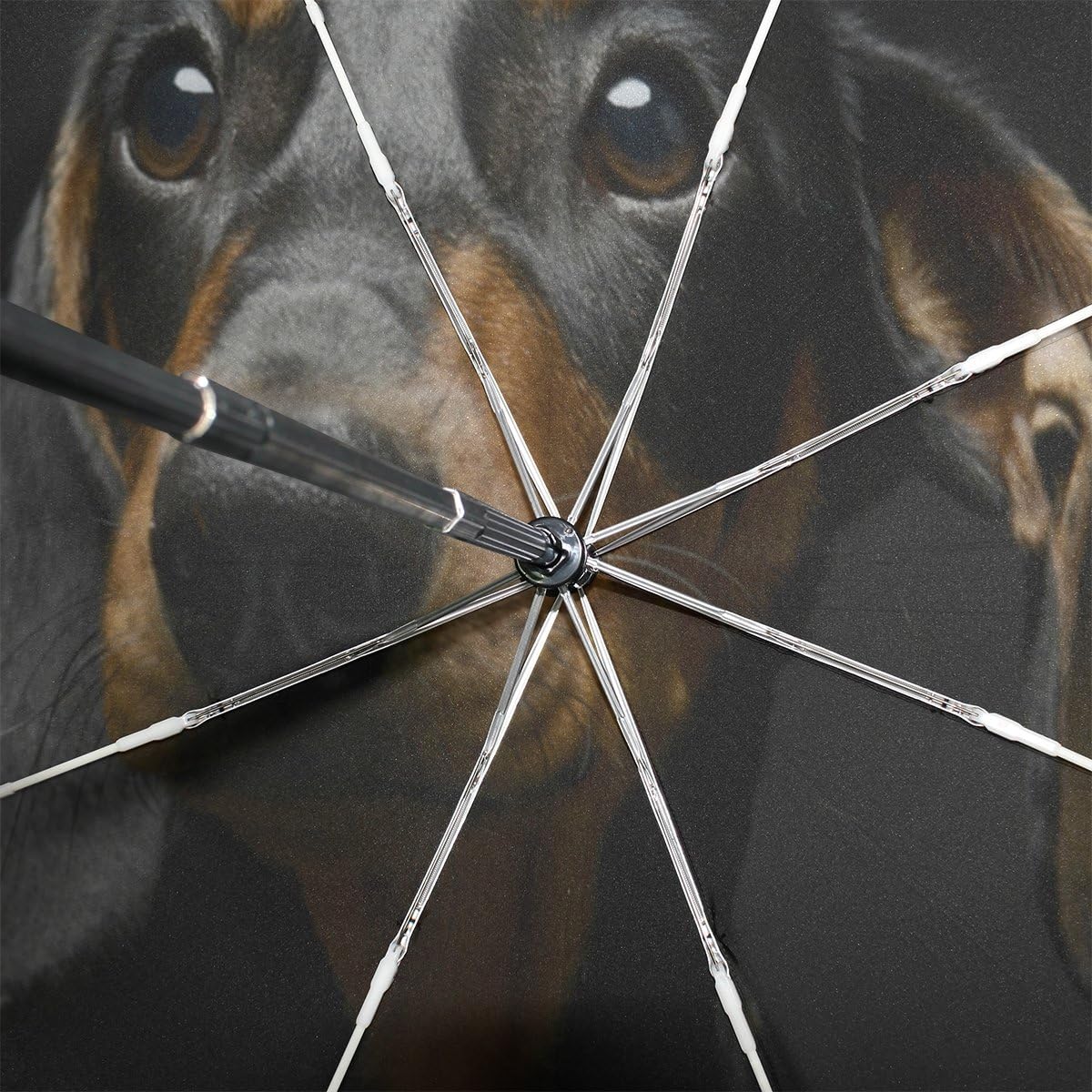 WOZO Funny Puppy Dachshund 3 Folds Auto Open Close Umbrella