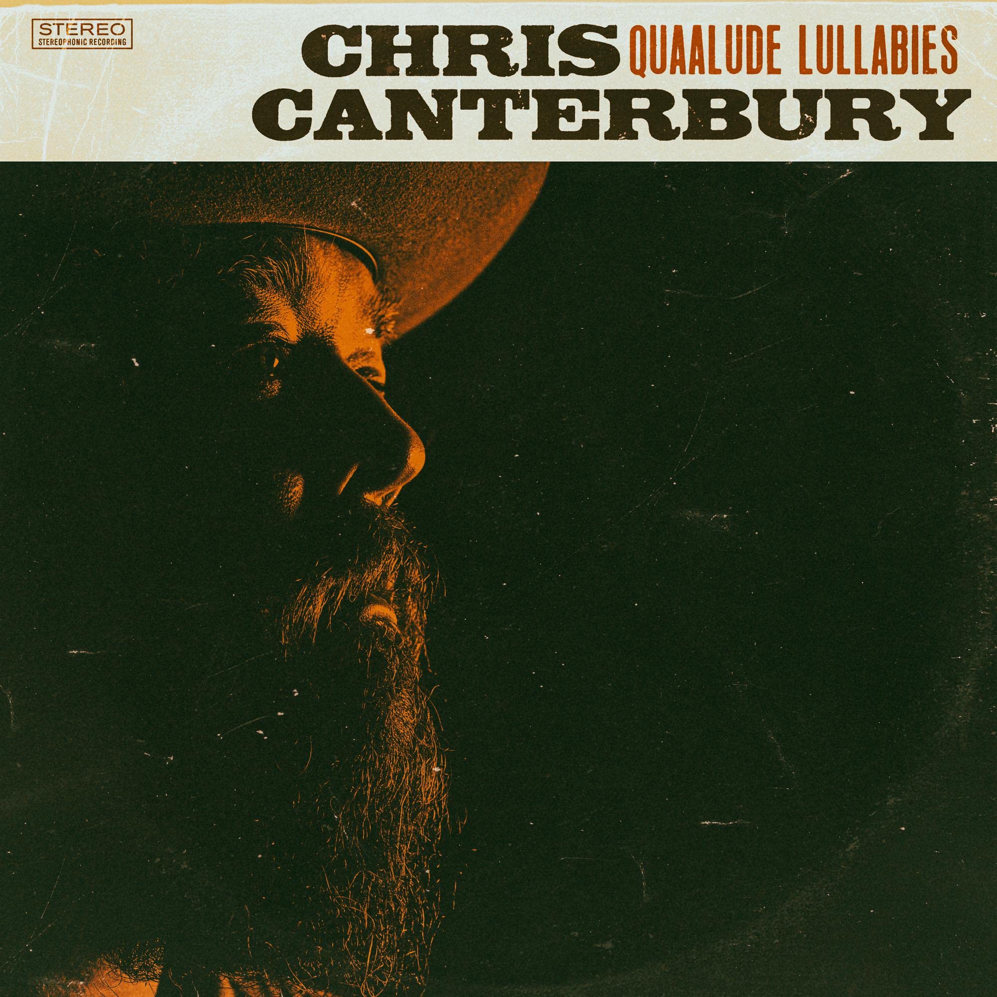 Quaalude Lullabies (LP) [VINYL]