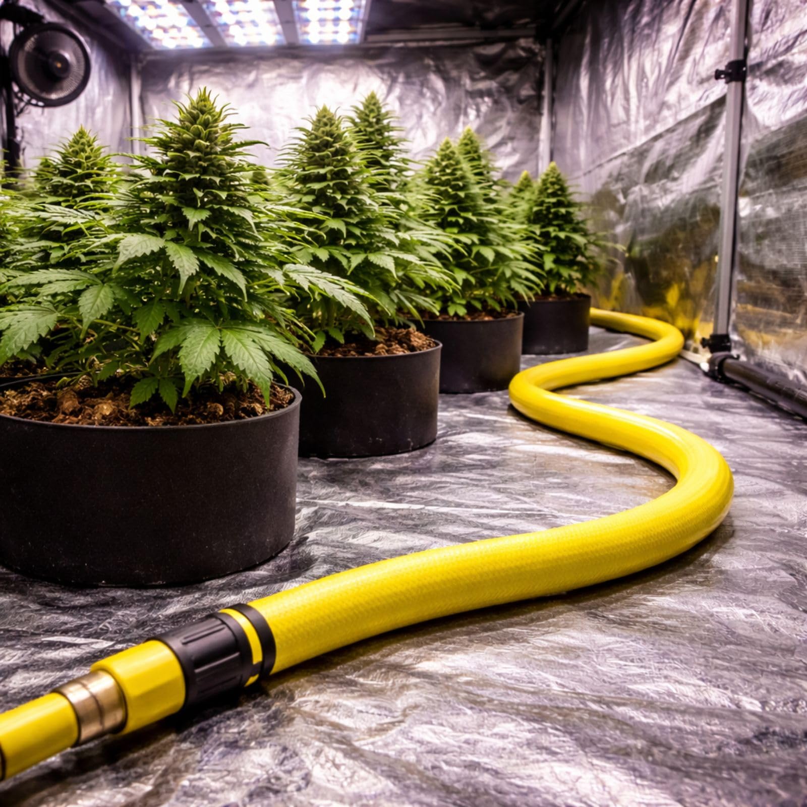 Weedness Tubo dell'acqua in polietilene, tubo di alimentazione – Micro Drip per irrigazione automatica per piante da giardino, fiori, prato, irrigazione a goccia (50 metri)