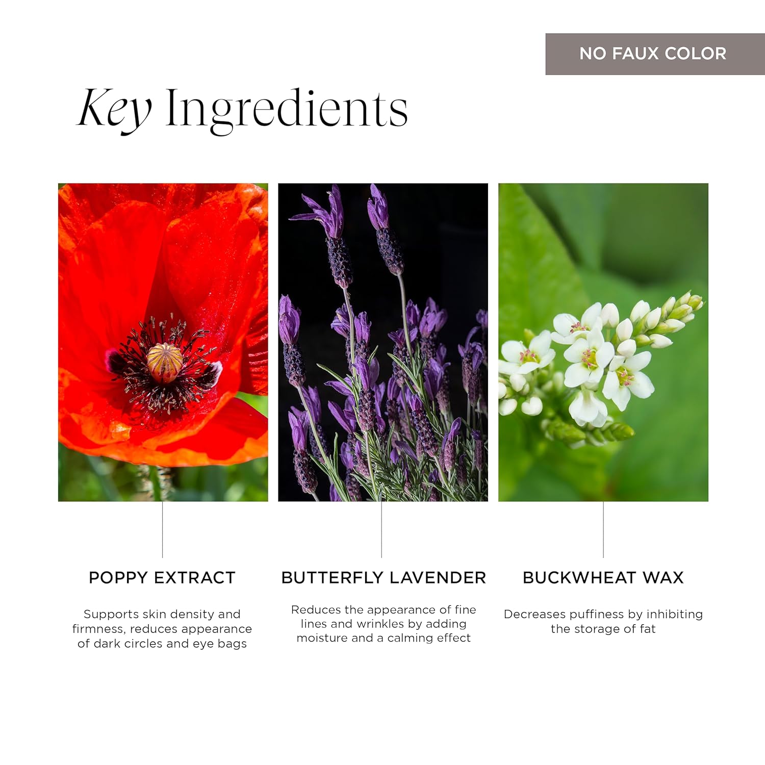 Intelligent Nutrients Liquid Green Revival Eye Whip, Eye Cream for Dry Skin, Nourishing Hydration Targets Dark Circles and Puffiness, Vegan, 0.5 Oz