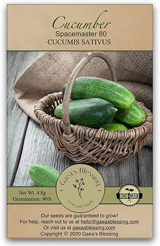 Gaea's Blessing Semillas de pepino Spacemaster (0.07 oz) Semillas sin OMG con instrucciones de plantación fáciles de seguir (idioma español no