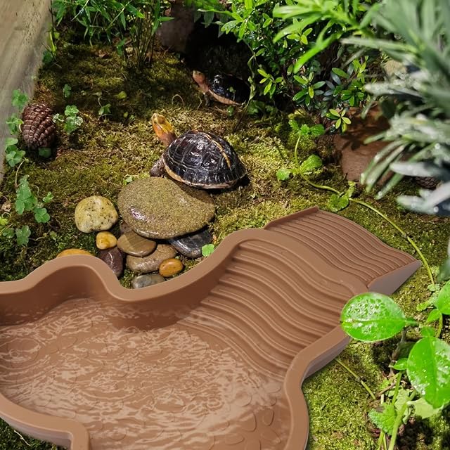 Foto 7 de 7 de Cuenco grande de baño para reptiles con rampa