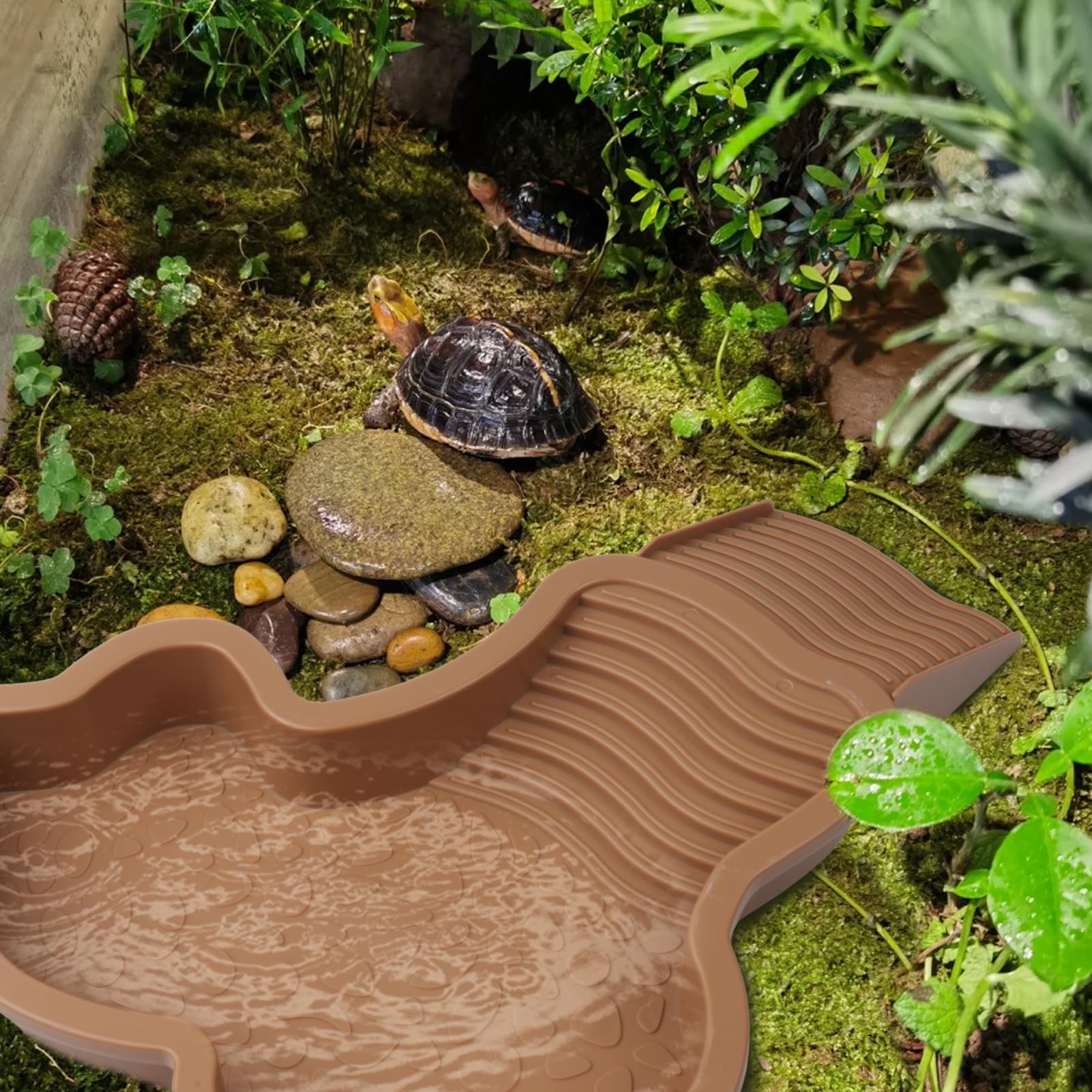 View 7