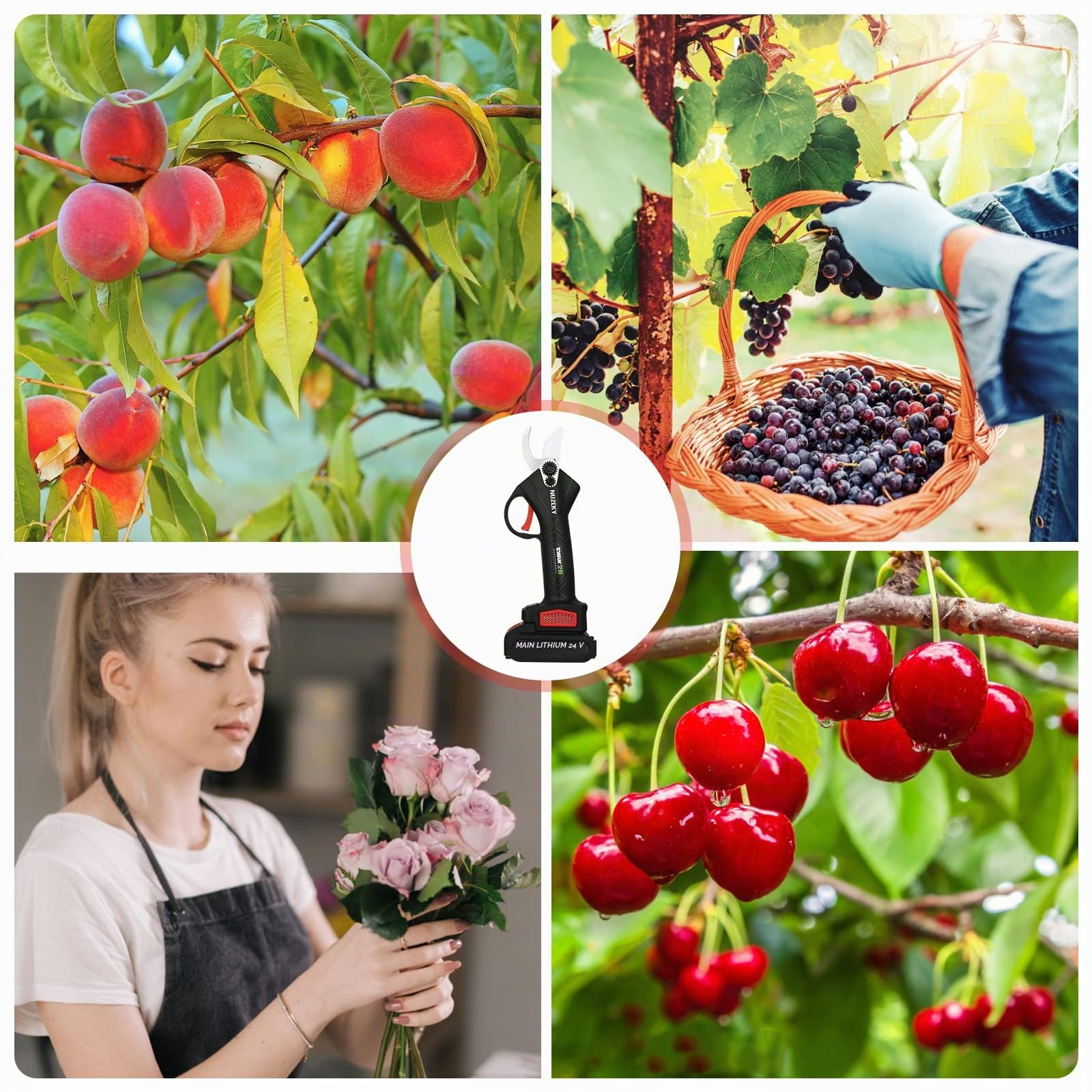 Secateur Electrique Sans Fil: Sécateur Électrique avec 2 x 2000mAh Batterie - 24V Secateur Electrique avec SK5 Lame Sécateur de Jardin pour Hedge, Arbre, Fruits,Rosier,Passionnés de jardinage