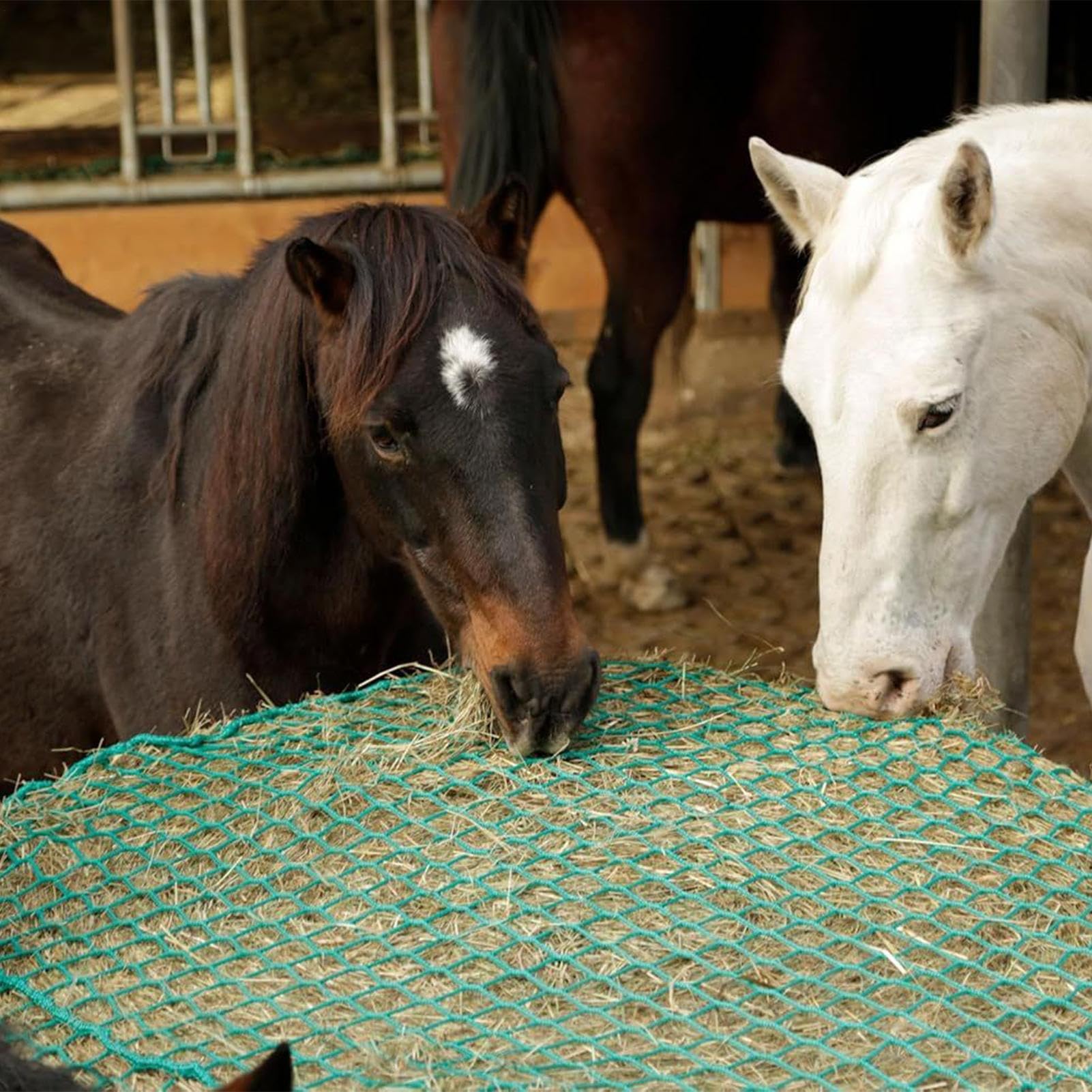 Redes para Heno de Caballos Almacenamiento De Alimento Para Vacas | Bolsa Malla Alimento Ovejas Establos Paddocks Entrenadores Instructores Veterinarios Escuela Equitación Ranchos Granjas