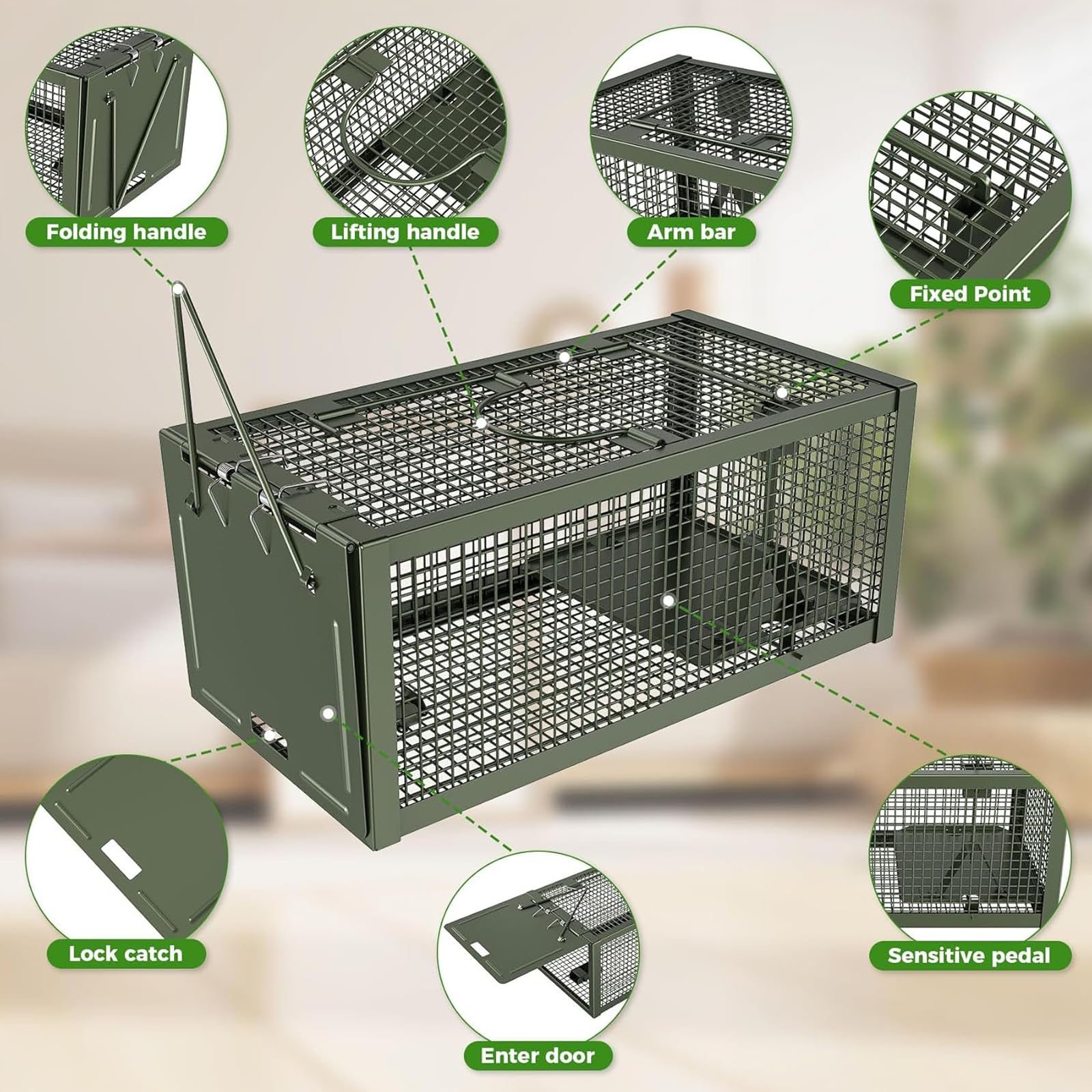 Lebendfalle Mausefalle,Premium Profi Lebendfalle XL: Humane Maus- & Rattenfalle aus Kaltgezogenem Stahldraht – Für Kleine Nagetiere (Mäuse, Wühlmäuse, Feldmäuse) (Green)