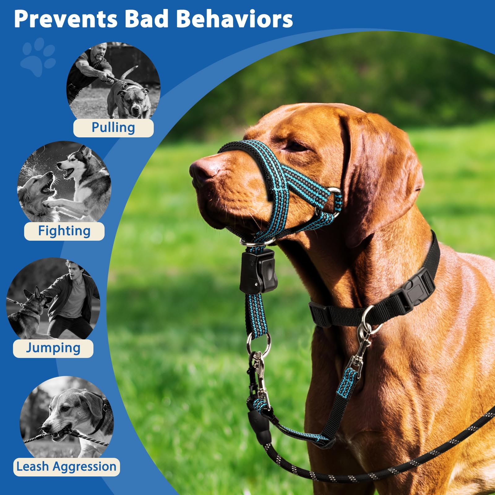BARKLESS No Pull Dog Head Collar for Gentle Training Walking, Soft Padded Head Halter with Collar Safety Clip, Comfortable Fit Muzzle Leash with Reflective Strap for Medium Large Dog (Blue, L) - image 6