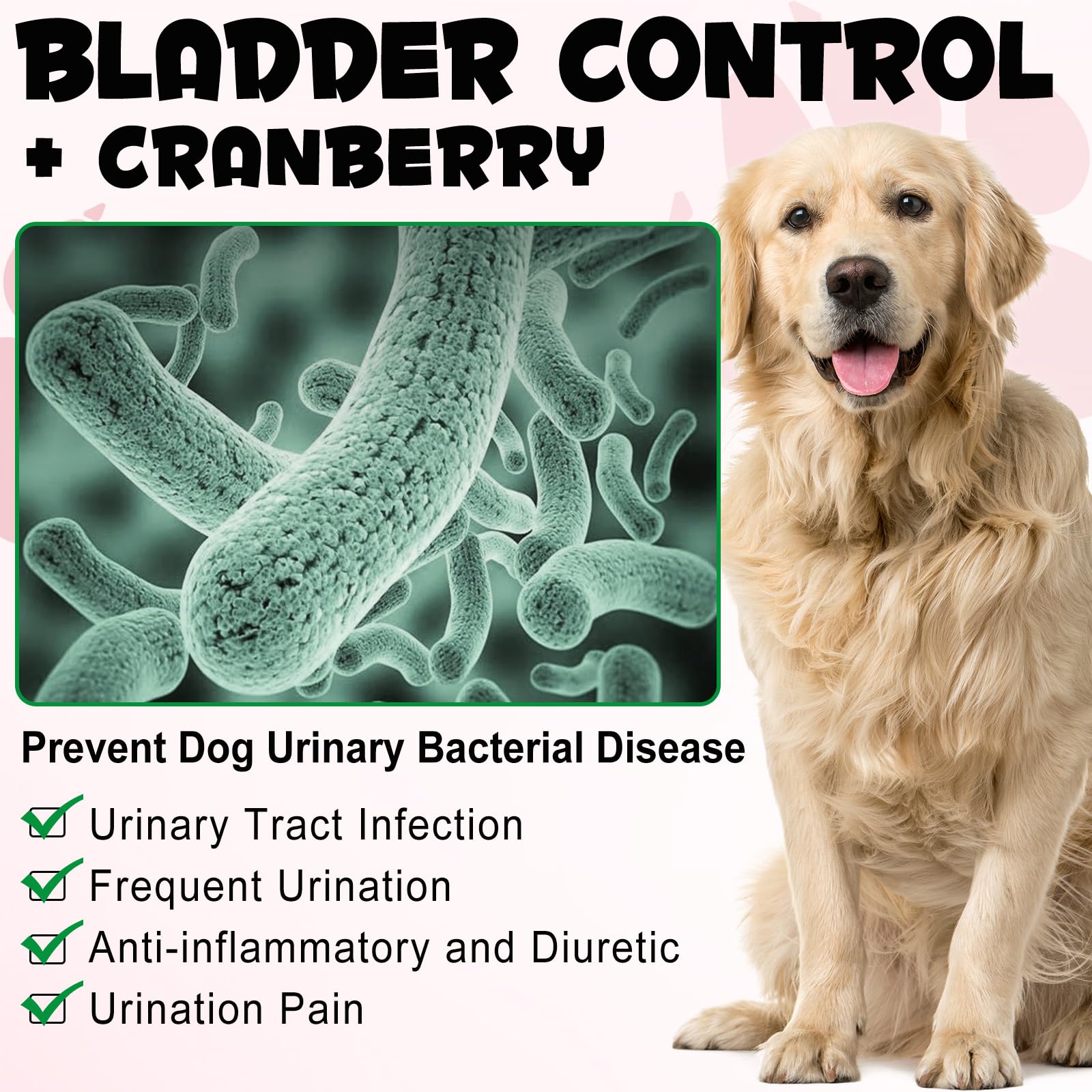 Supporto per vescica e reni per cani, integratore per il trattamento delle vie urinarie e il controllo della vescica, prodotti da masticare morbidi con mirtillo rosso e D-mannosio -60 pezzi