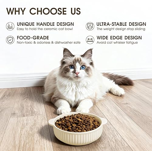 Miniatura 2 de Tazón de comida para gatos con asa, juego de alimentador de comida y agua de cerámica para gatos de 6 pulgadas, diseño moderno de textura vertical,