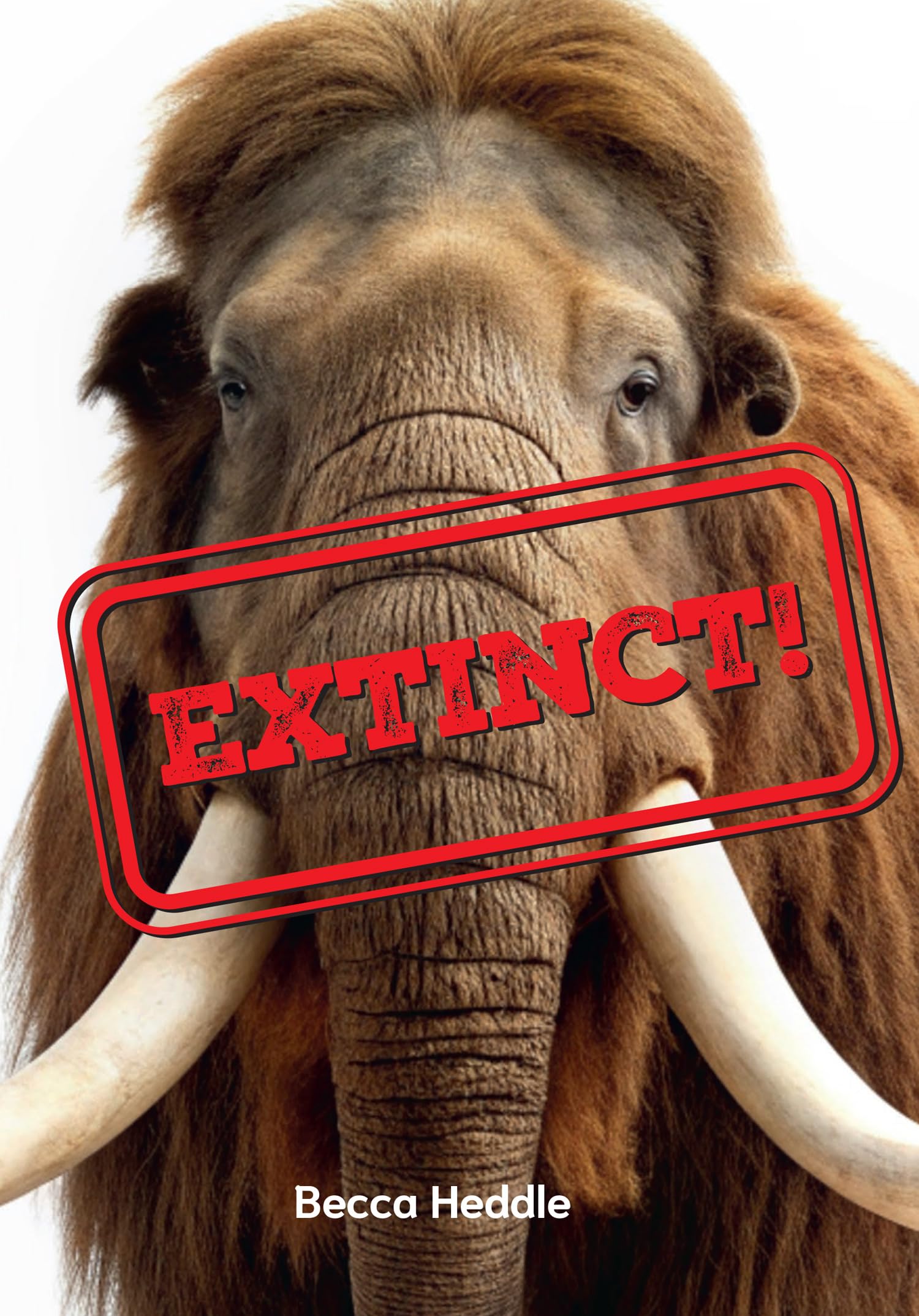Extinct! by Becca Heddle,  Collins Big Cat - 9780008746339