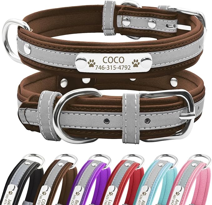 Senristar Collier Réfléchissant Personnalisé pour Chien avec — free download