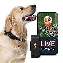 PAJ GPS Dog Tracker - 4G Real-Time Tracking &amp; Runaway Alerts - Waterproof, Long-Range, Smart App Monitor Health &amp; Activity - Fits Any Collar, Mini Device Navigator Chip - Subscription Required - Black