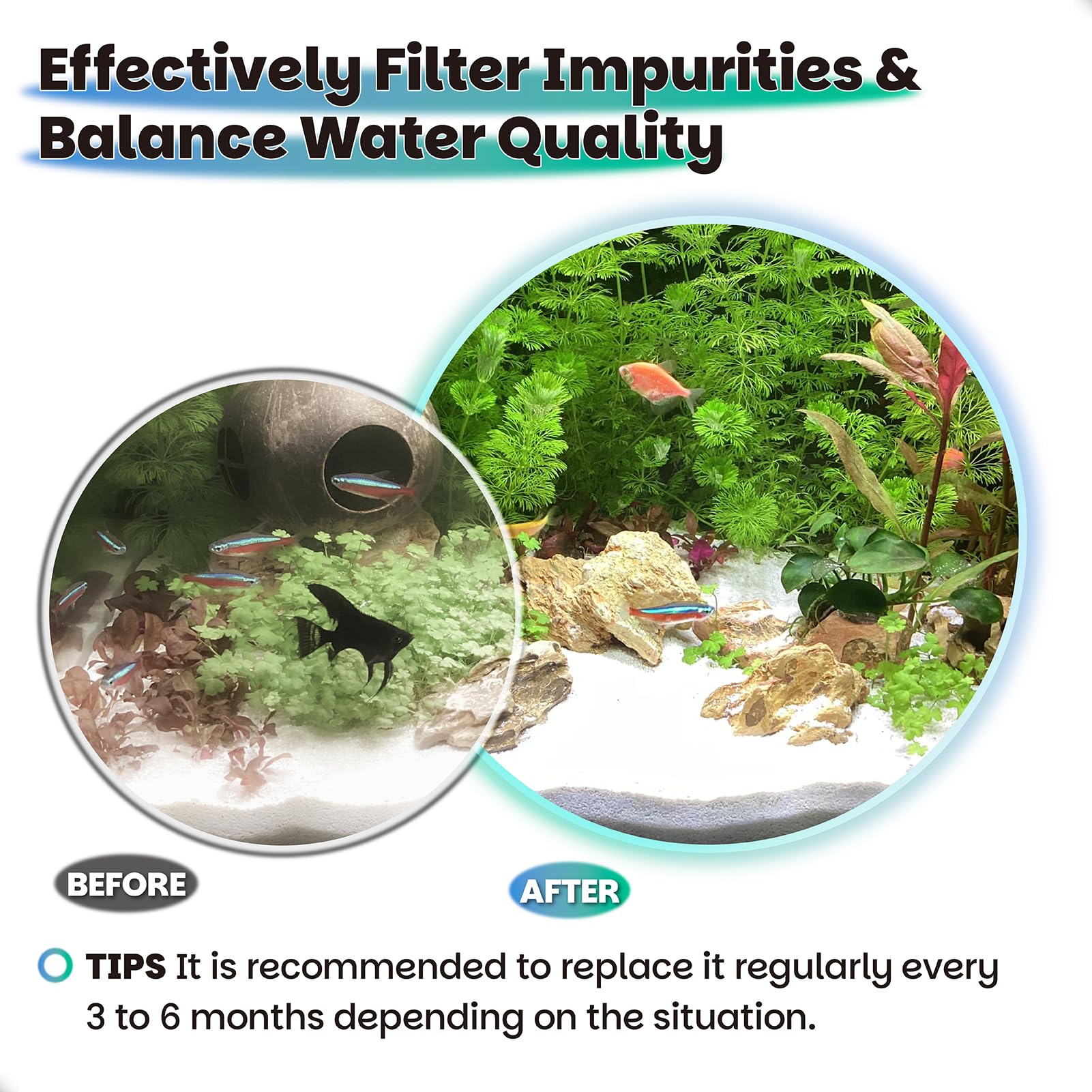 View 6