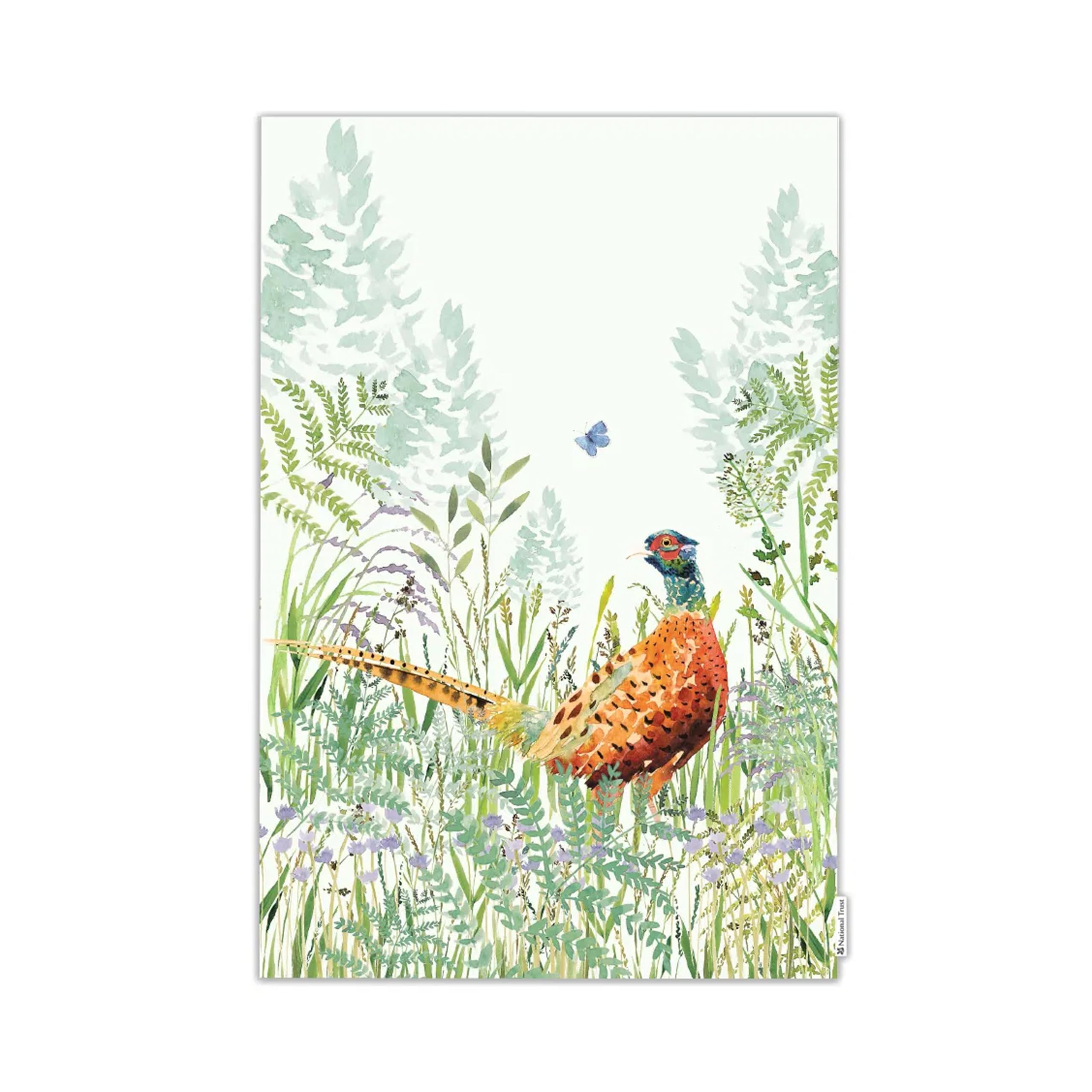 Eddingtons Multicoloured Pheasant Patterned Organic Cotton Tea Towel/Dish Cloth - Eco-Friendly National Trust Nature Collection Kitchen Linens