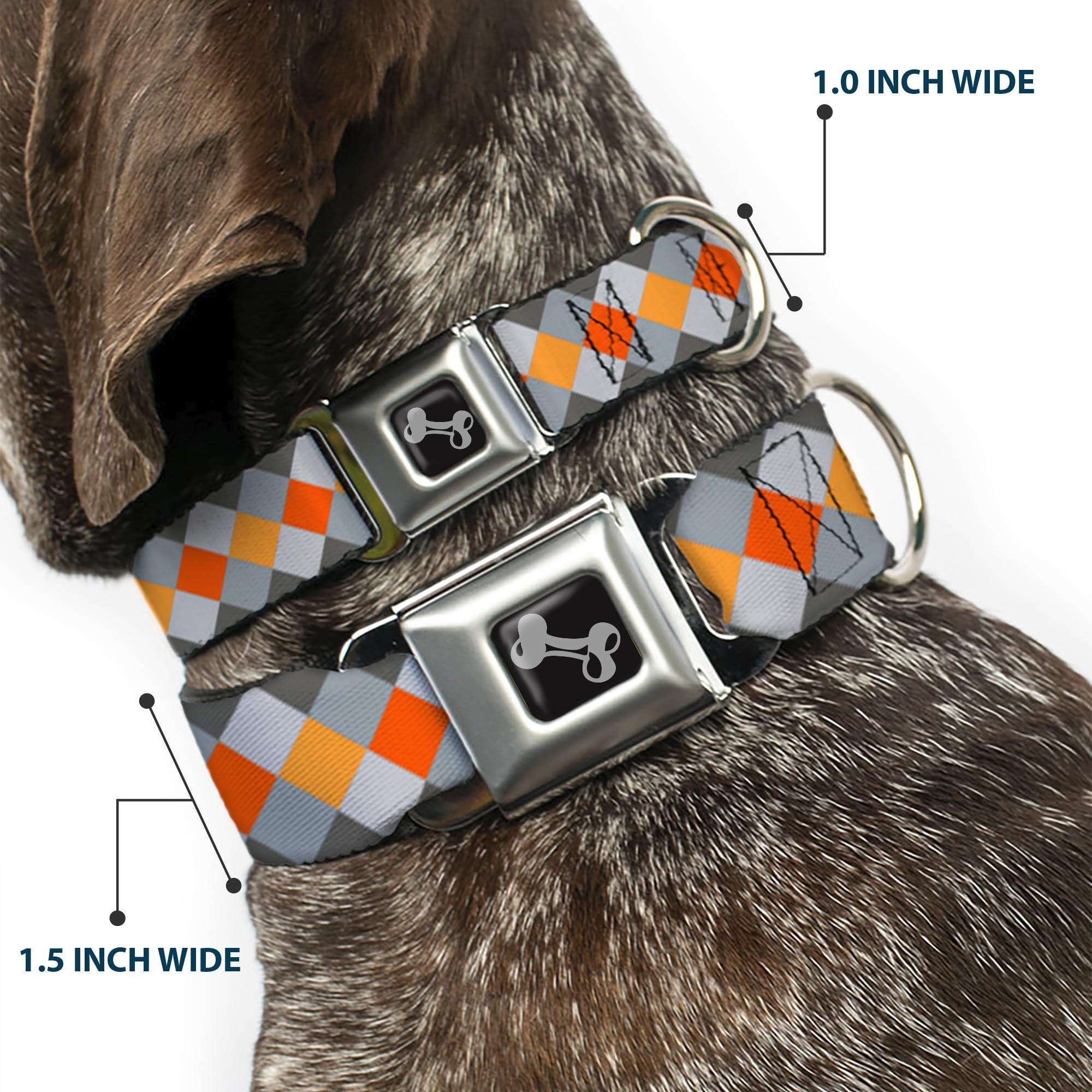 Buckle Down Diamante Plaid Grays/Arancio Collare Osso, Wide Small/13 – 45,7 cm