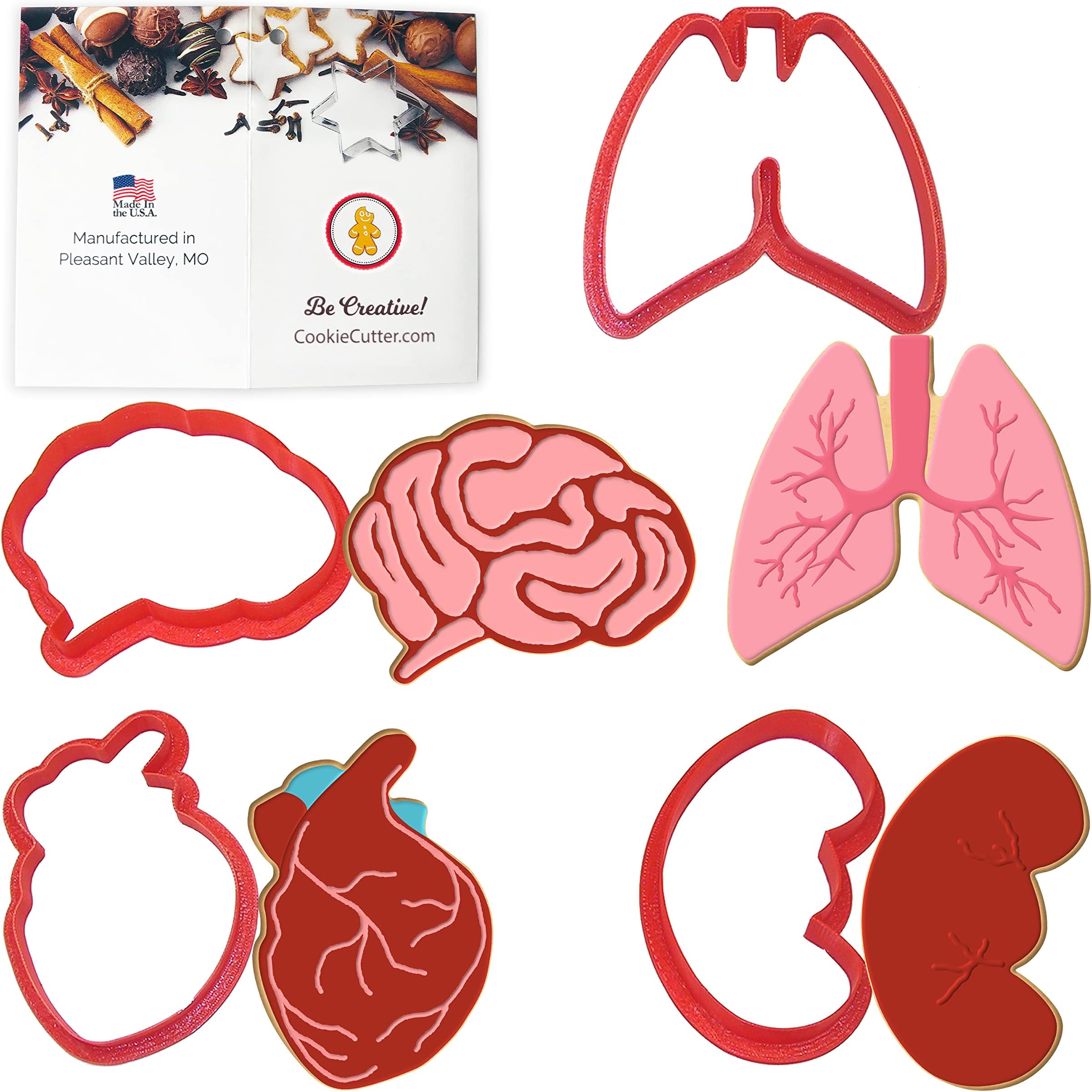 CookieCutter.com Anatomical Body Parts Cookie Cutter 4 Pc Set – Kidney, Heart, Lungs, Brain Cookie Cutters Hand Made in the USA from Tin Plated Steel