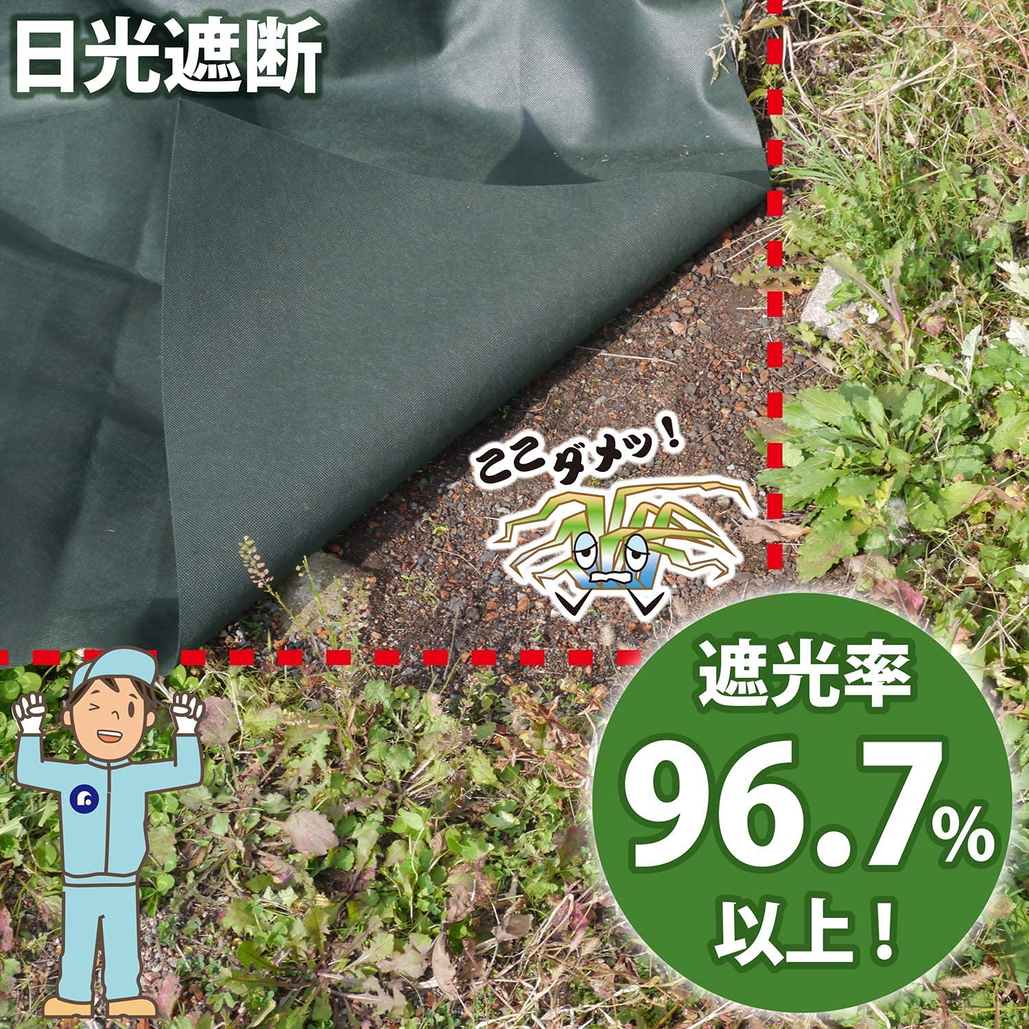 エーポンさん専用　防草シート Amazon | アストロ 芝桜専用 防草シート グリーン 1×10m グランド